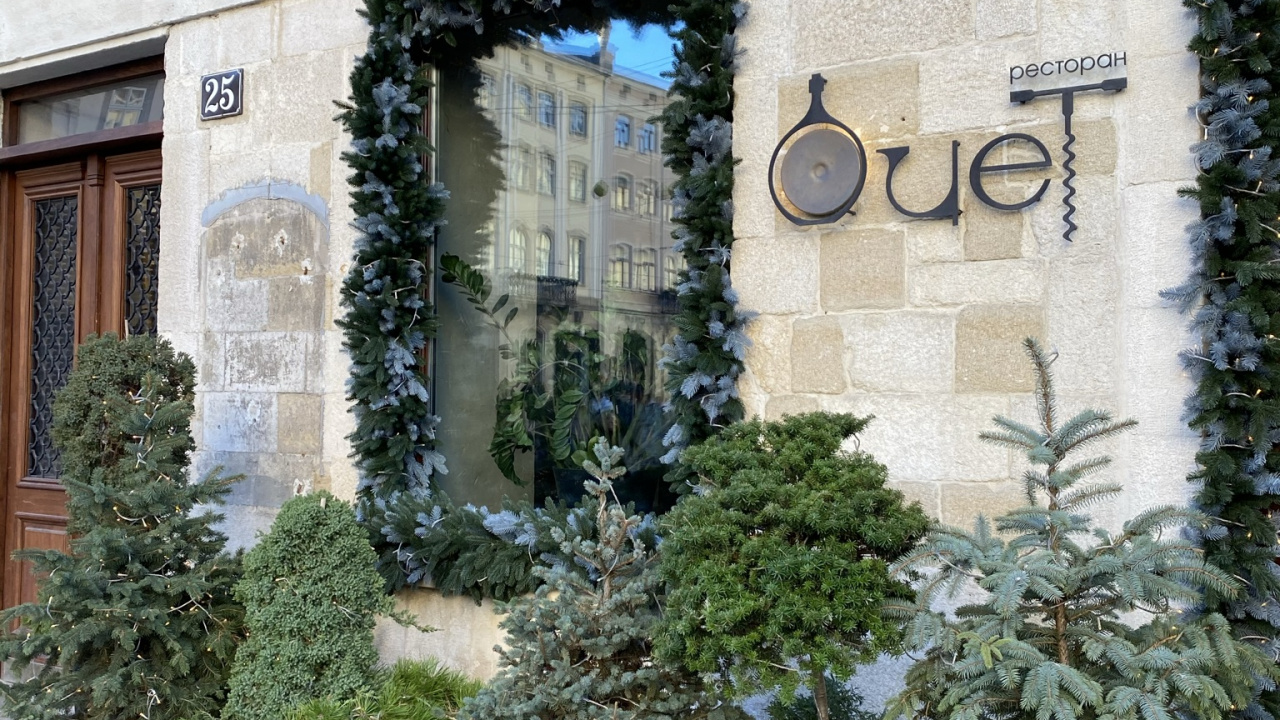 Flowerpot, Arbuste, Plante D'intérieur, Plante Annuelle. Wallpaper in 1280x720 Resolution