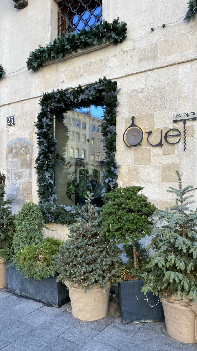 Maceta, Arbusto, Planta de Interior, Planta Anual. Wallpaper in 750x1334 Resolution