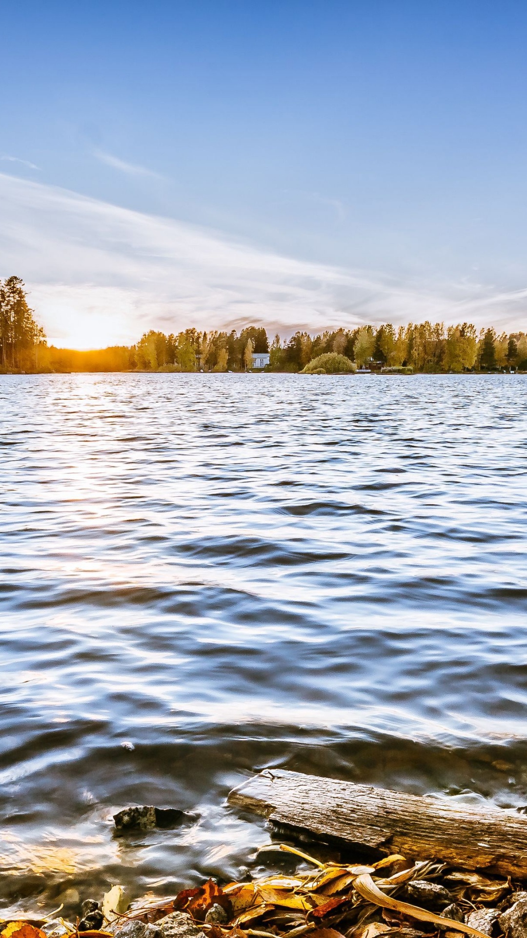 Reflection, Water, Cloud, Plant, Water Resources. Wallpaper in 1080x1920 Resolution
