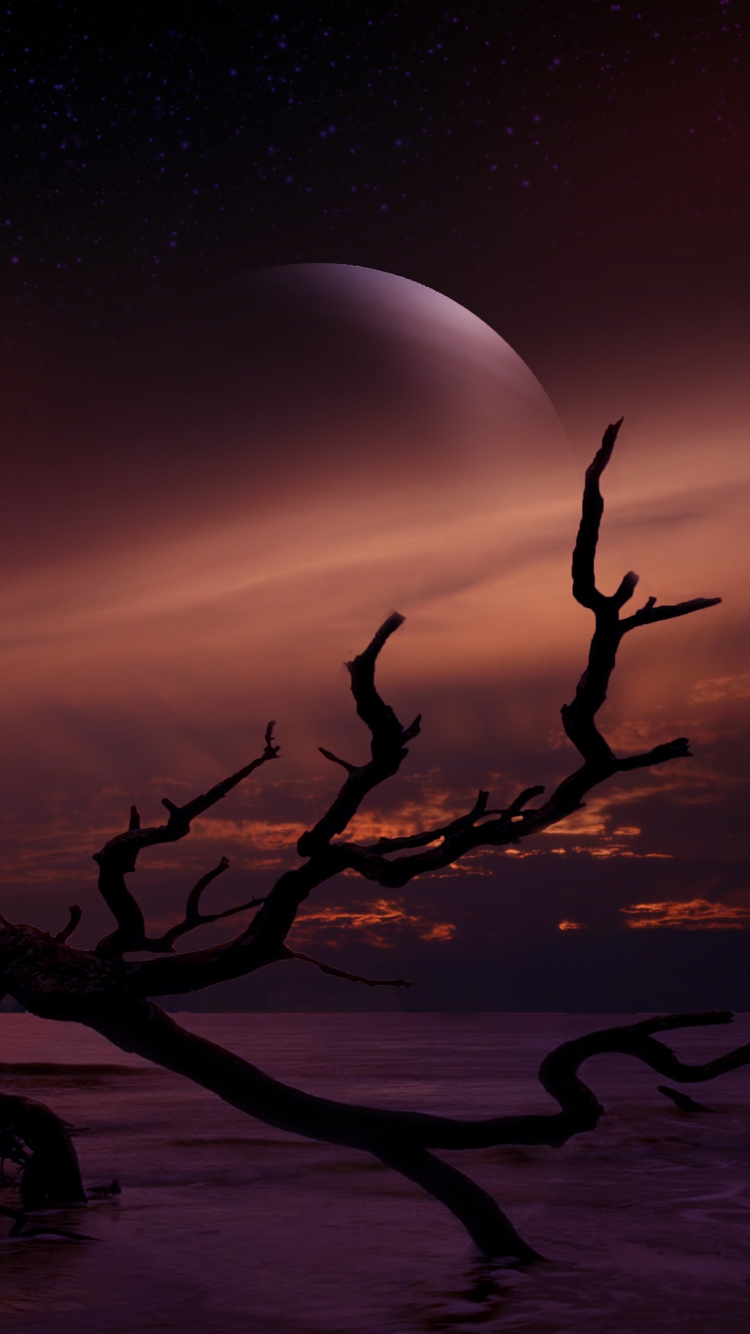 Silhouette Des Asts Während Der Nacht. Wallpaper in 1080x1920 Resolution