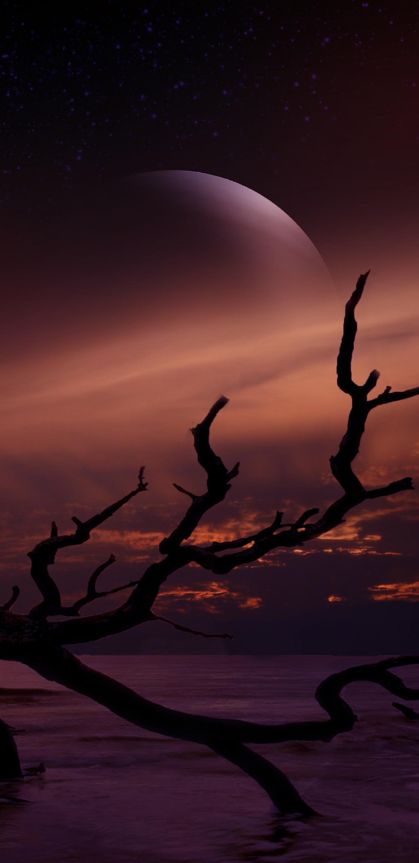 Silhouette Des Asts Während Der Nacht. Wallpaper in 1440x2960 Resolution