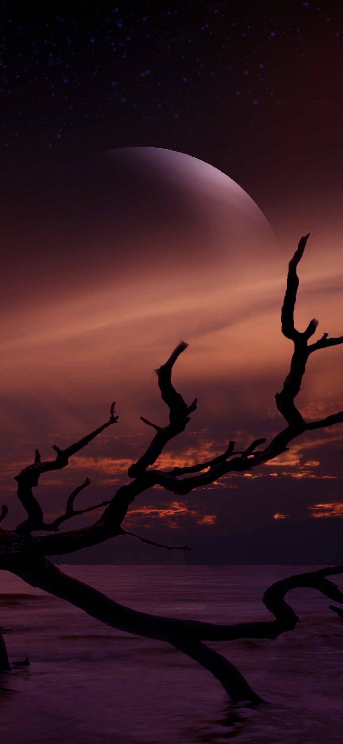 Silhouette of Tree Branch During Night Time. Wallpaper in 1125x2436 Resolution