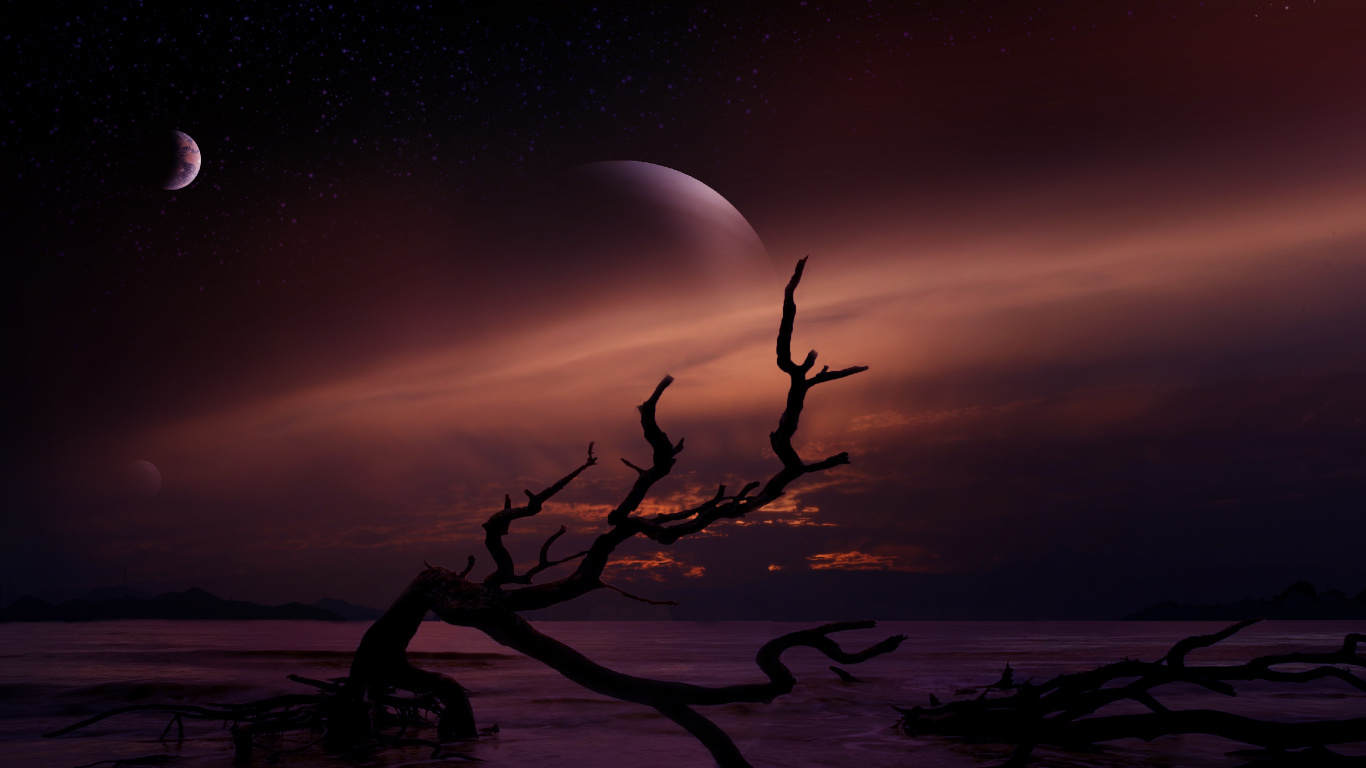 Silhouette of Tree Branch During Night Time. Wallpaper in 1366x768 Resolution