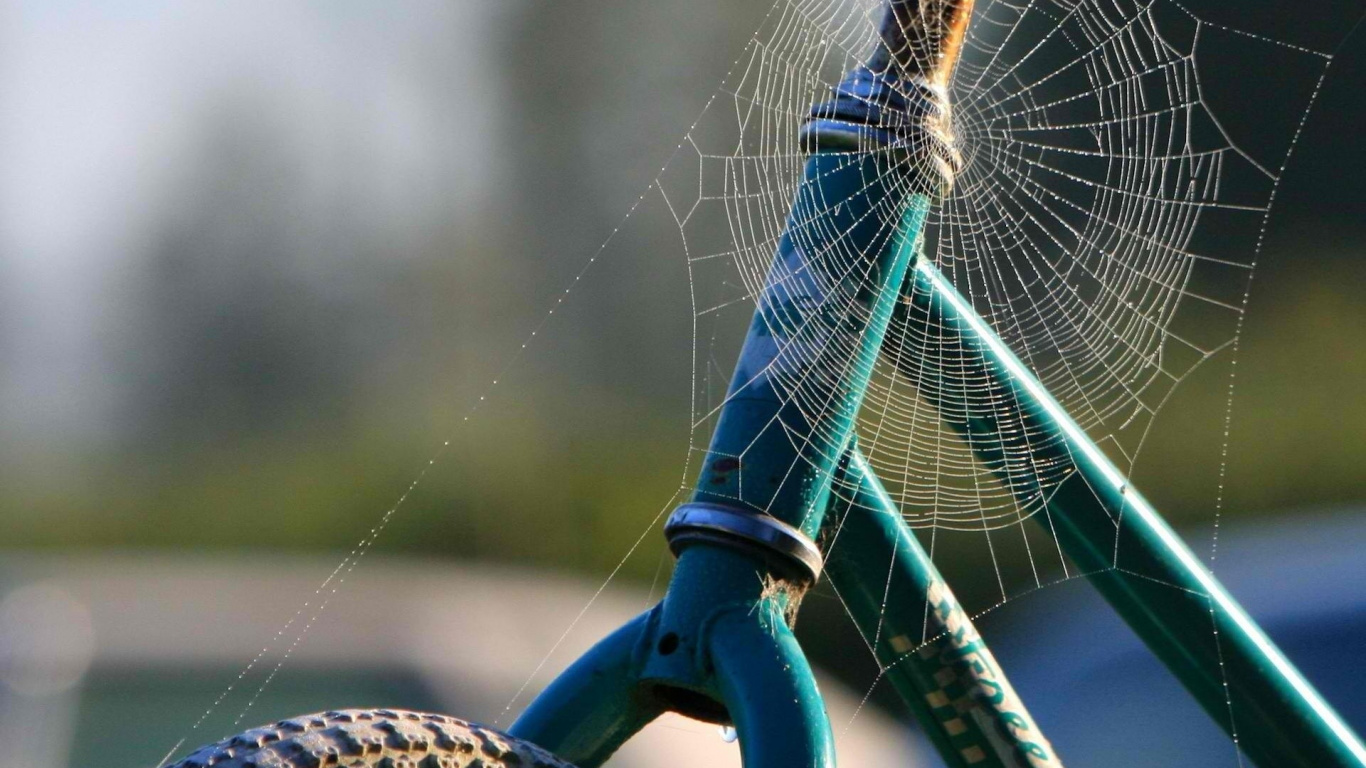 Blue Bicycle Wheel With Spider Web in Tilt Shift Lens. Wallpaper in 1366x768 Resolution