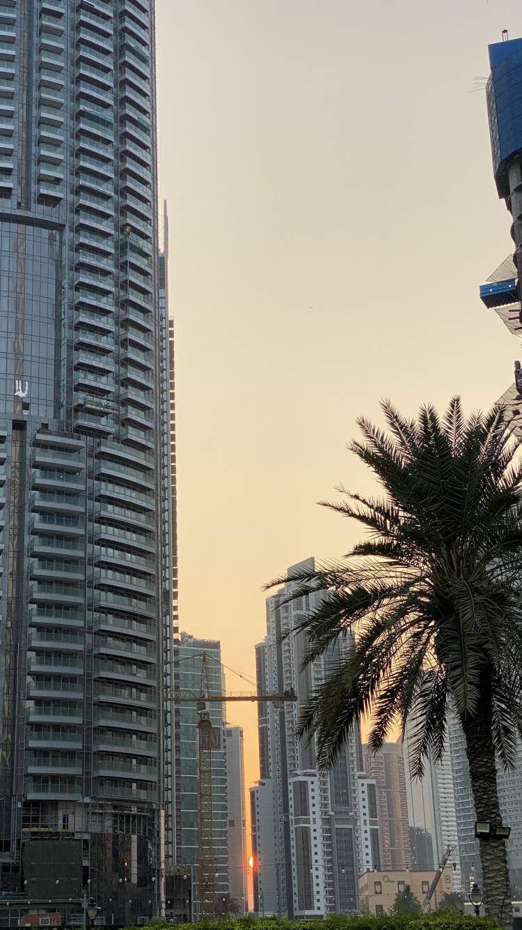 Skyscraper, Tower Block, Daytime, Urban Area, City. Wallpaper in 750x1334 Resolution