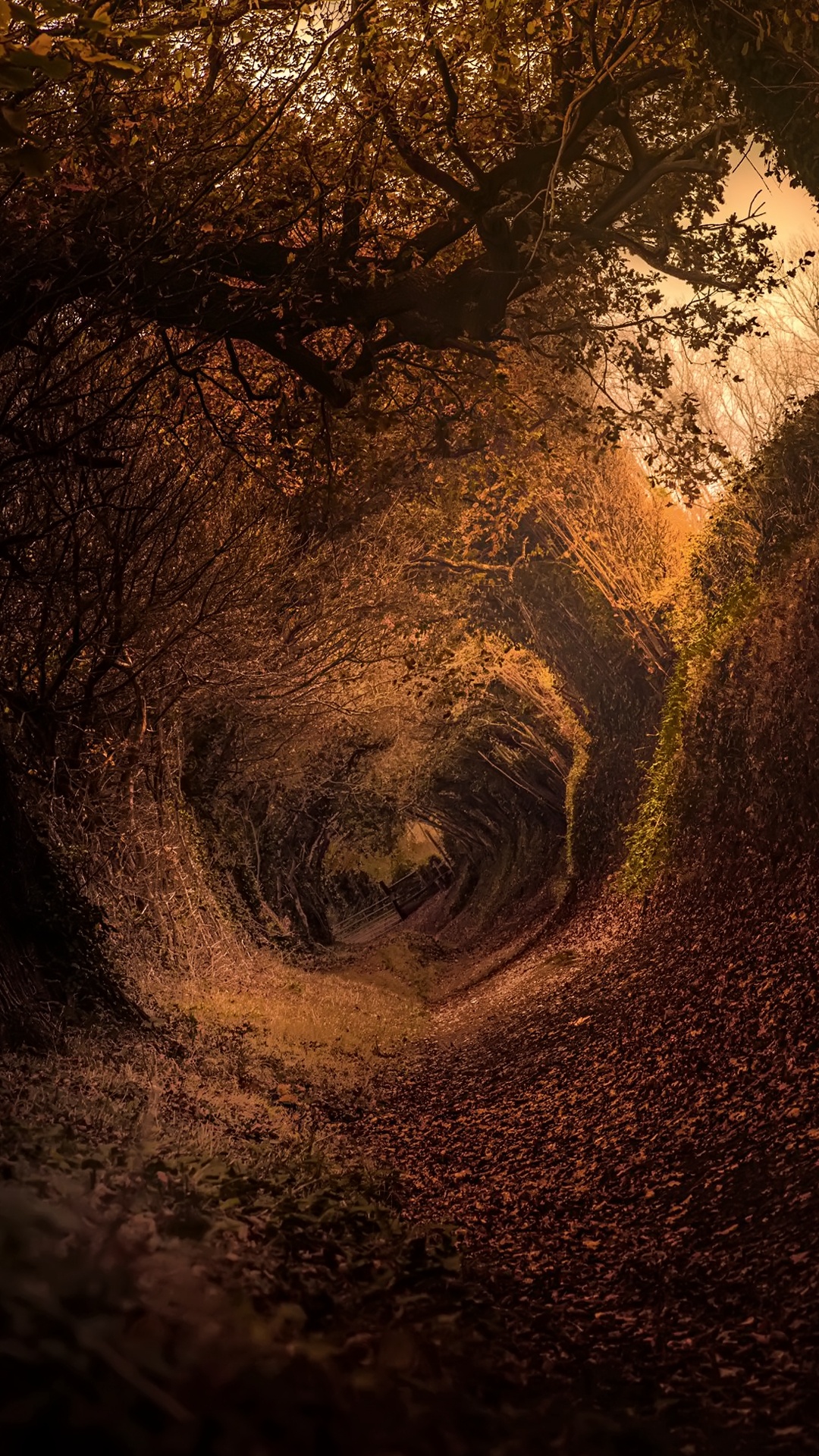 The Hobbit, Art, Painting, Visual Arts, Art Paint. Wallpaper in 1080x1920 Resolution