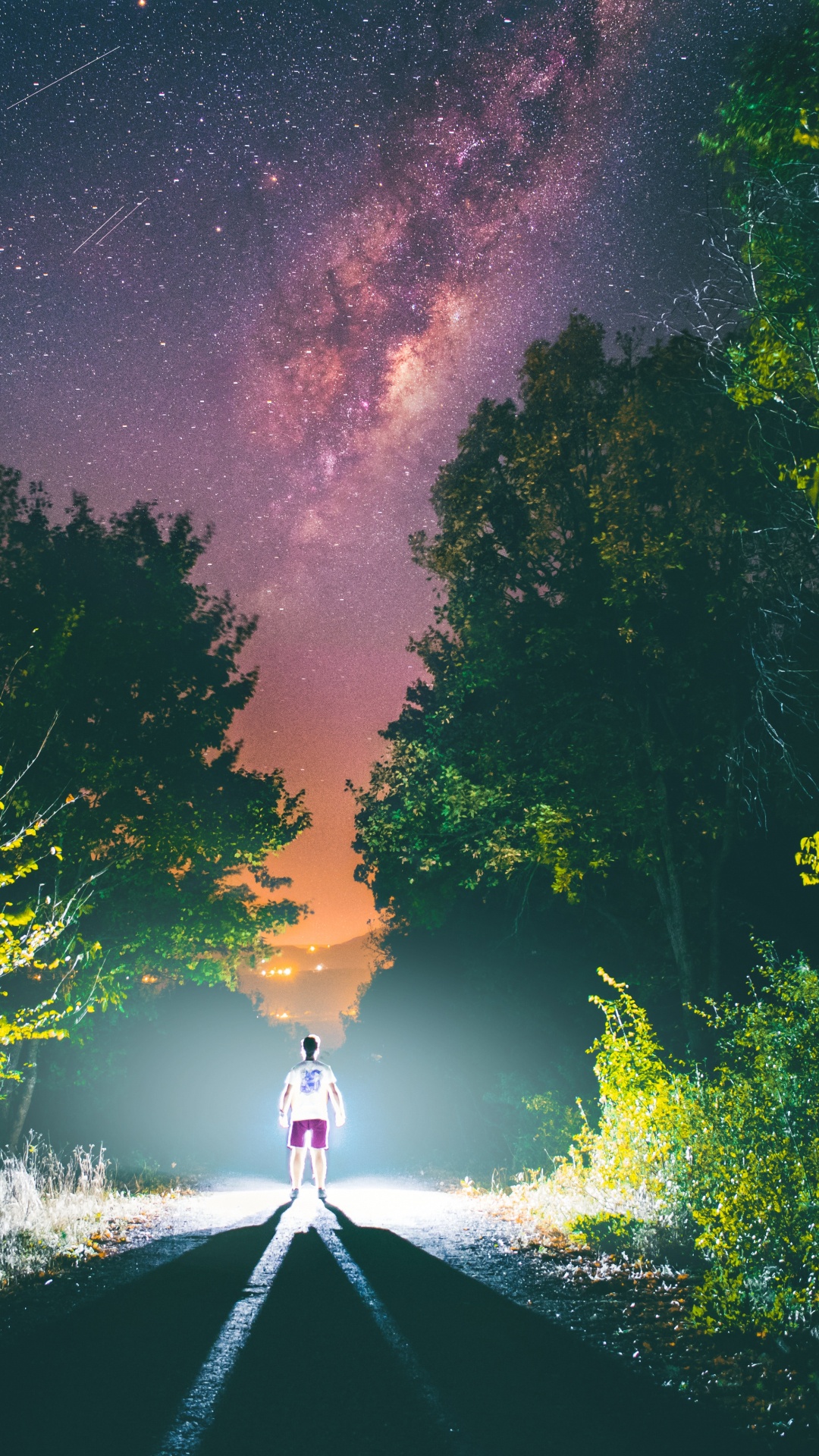 数据, 绿色的, 光, 气氛, 自然景观 壁纸 1080x1920 允许