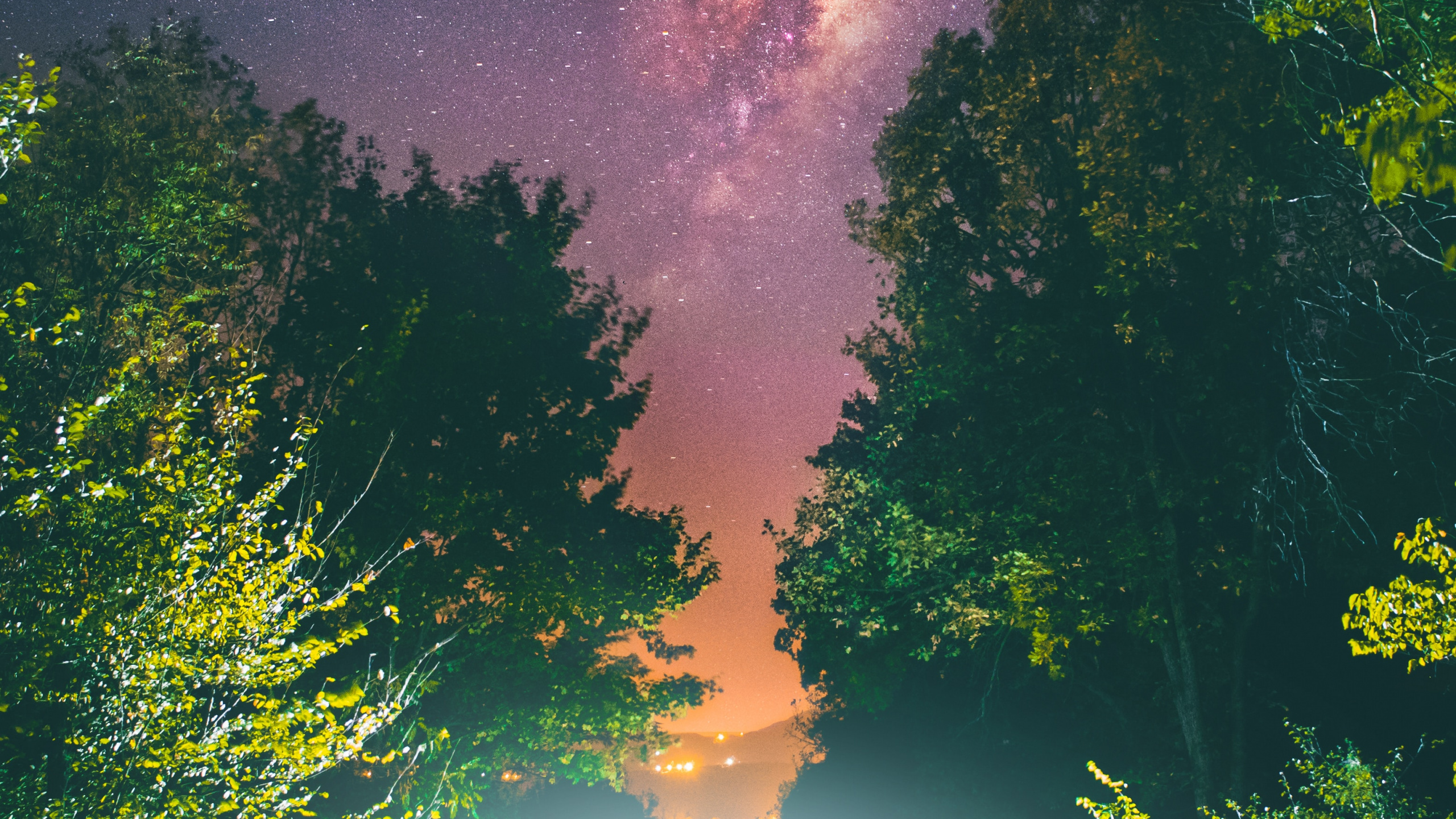 数据, 绿色的, 光, 气氛, 自然景观 壁纸 2560x1440 允许