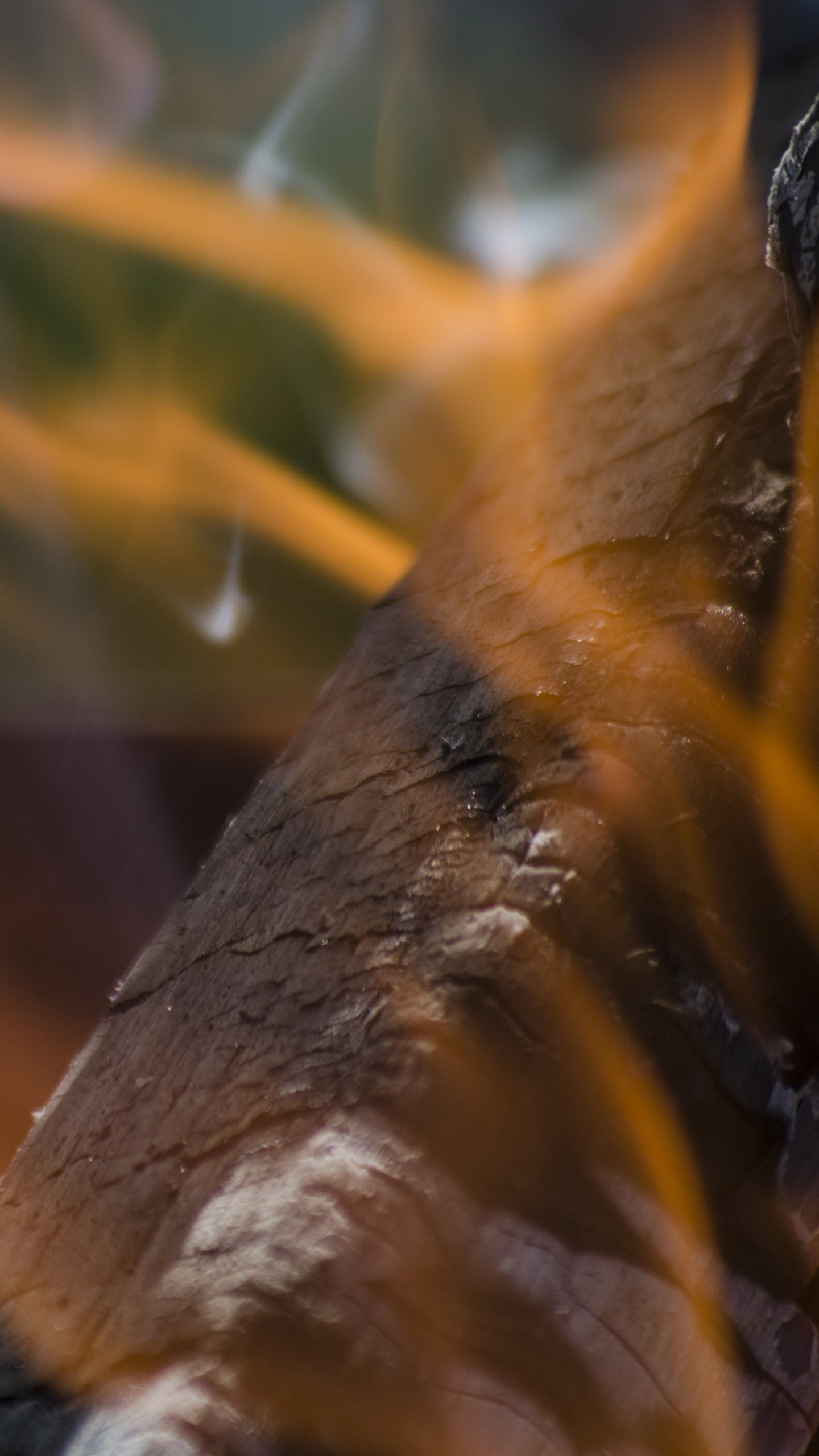 Tronco de Madera Marrón y Negro. Wallpaper in 1440x2560 Resolution