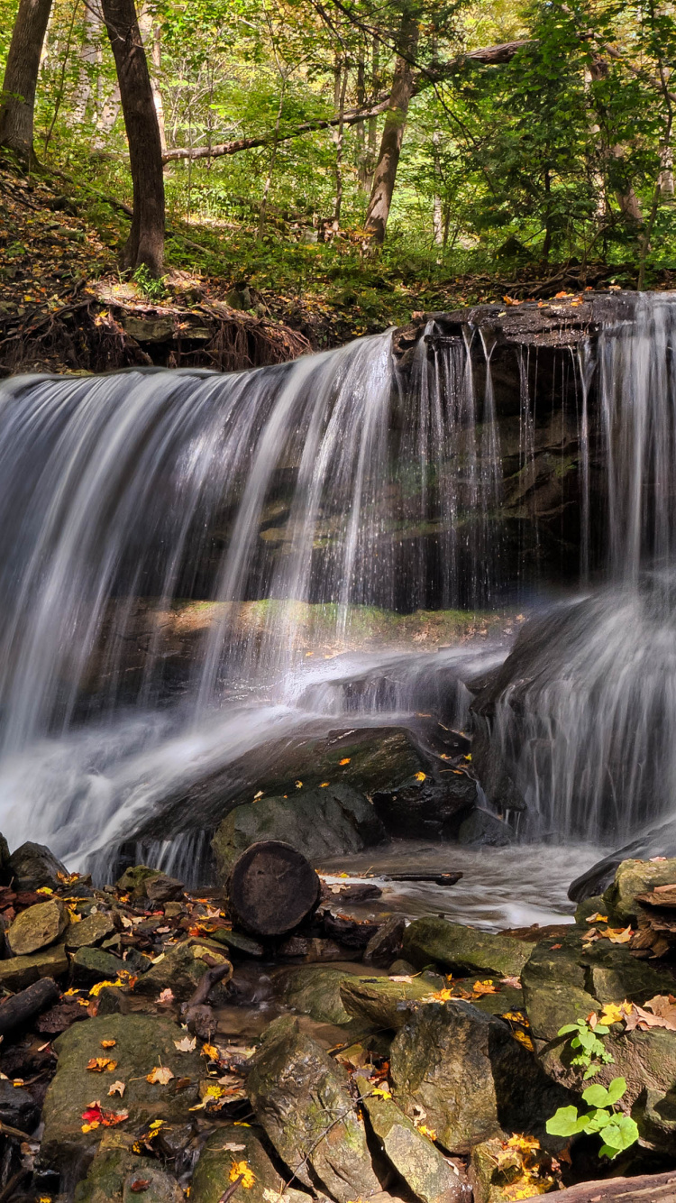 L'eau Tombe Dans la Forêt Pendant la Journée. Wallpaper in 750x1334 Resolution