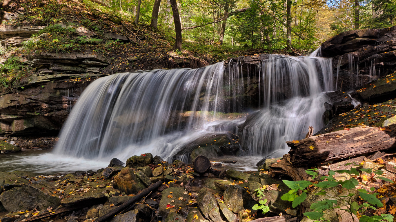 Water Falls in Forest During Daytime. Wallpaper in 1366x768 Resolution