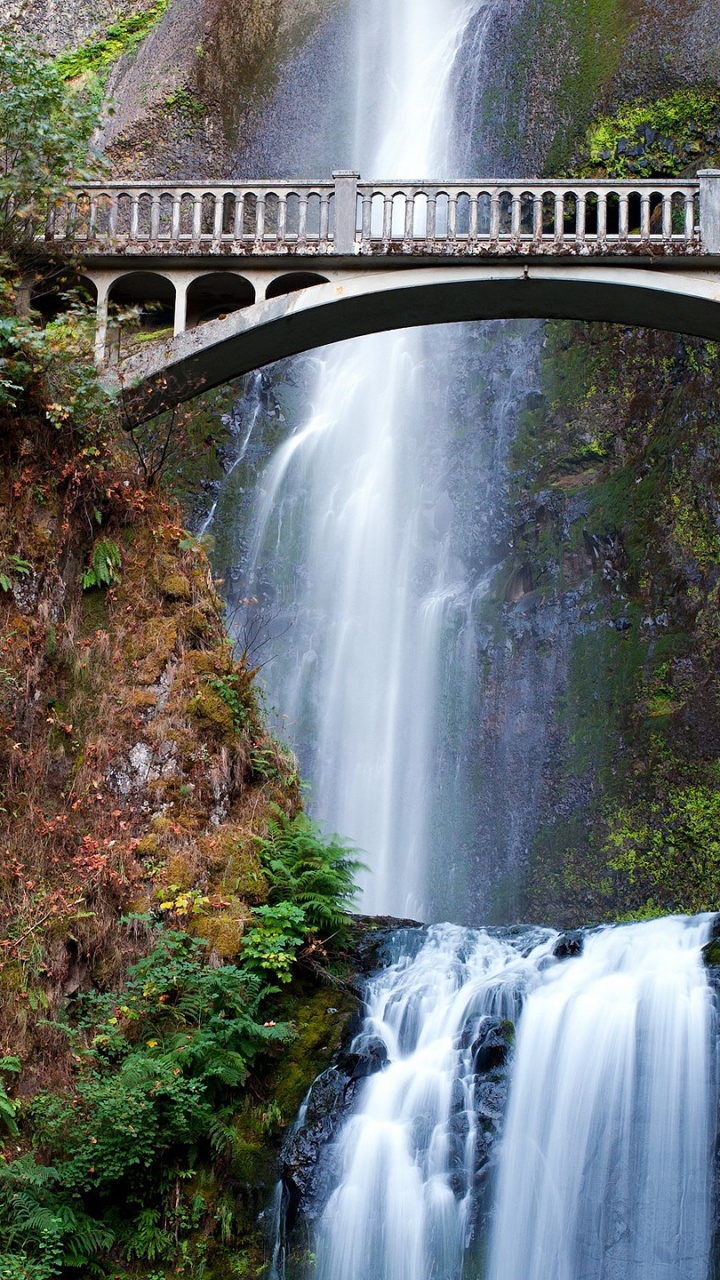 Cascadas Debajo Del Puente Durante el Día. Wallpaper in 720x1280 Resolution