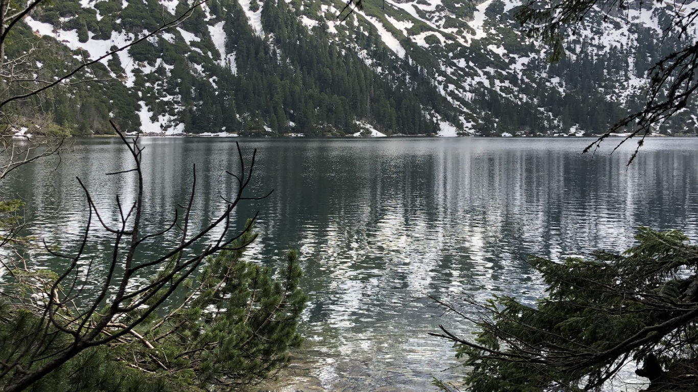 Eau, Rameau, Banque, Cours D'eau, Lac. Wallpaper in 1366x768 Resolution