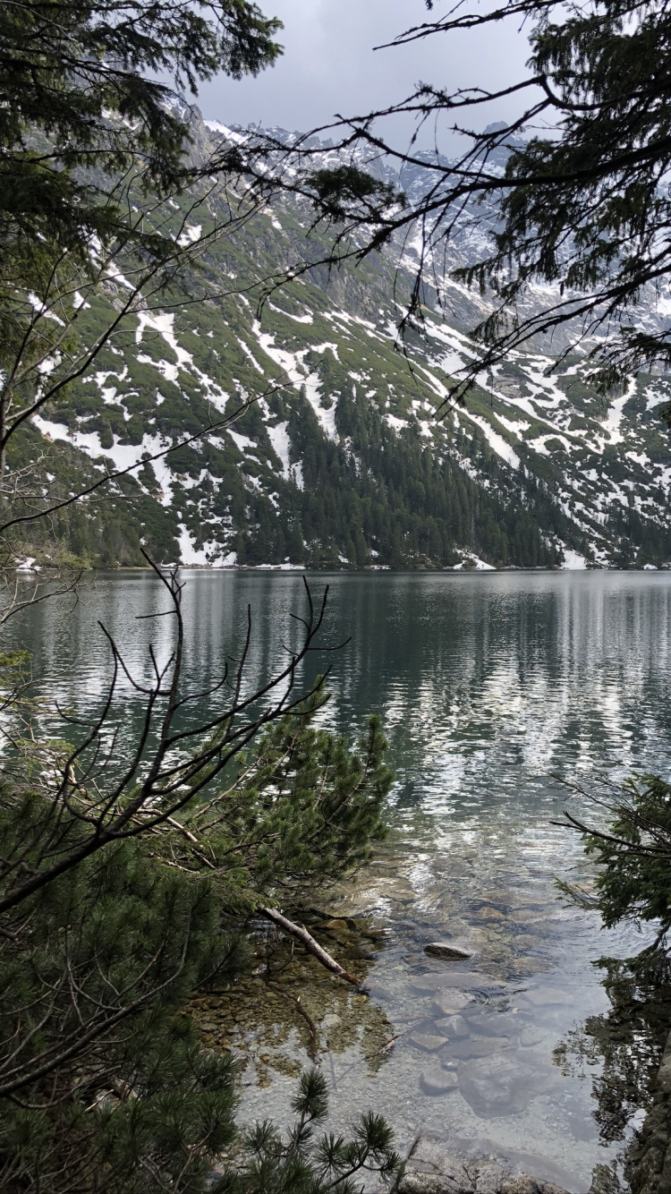 Eau, Rameau, Banque, Cours D'eau, Lac. Wallpaper in 750x1334 Resolution