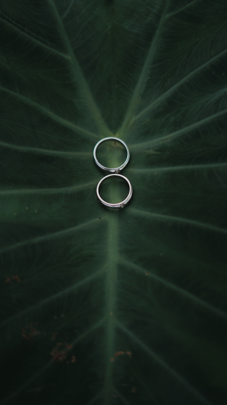 Atmosphäre, Gr, Wasser, Kreis, Technologie. Wallpaper in 750x1334 Resolution