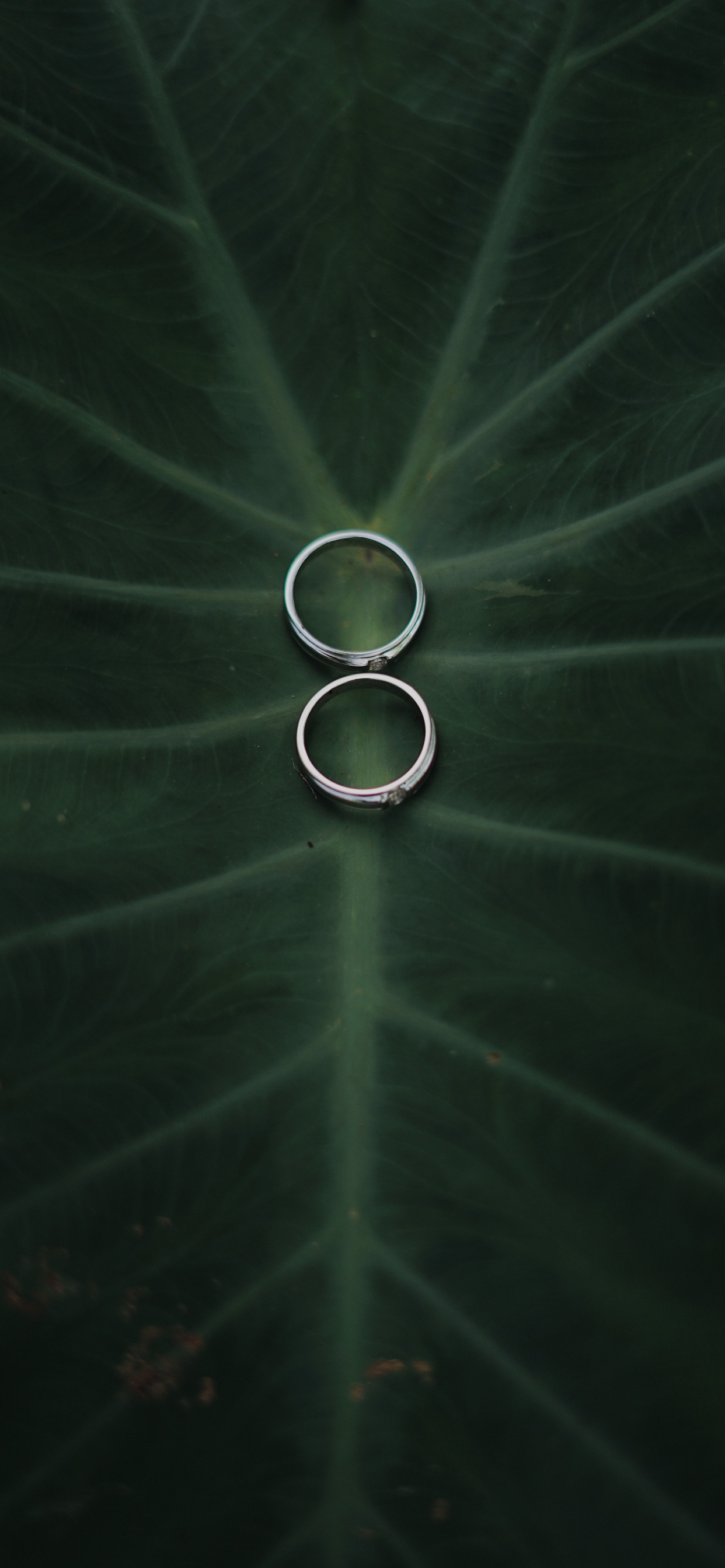 Atmosphere, Green, Water, Circle, Technology. Wallpaper in 1242x2688 Resolution