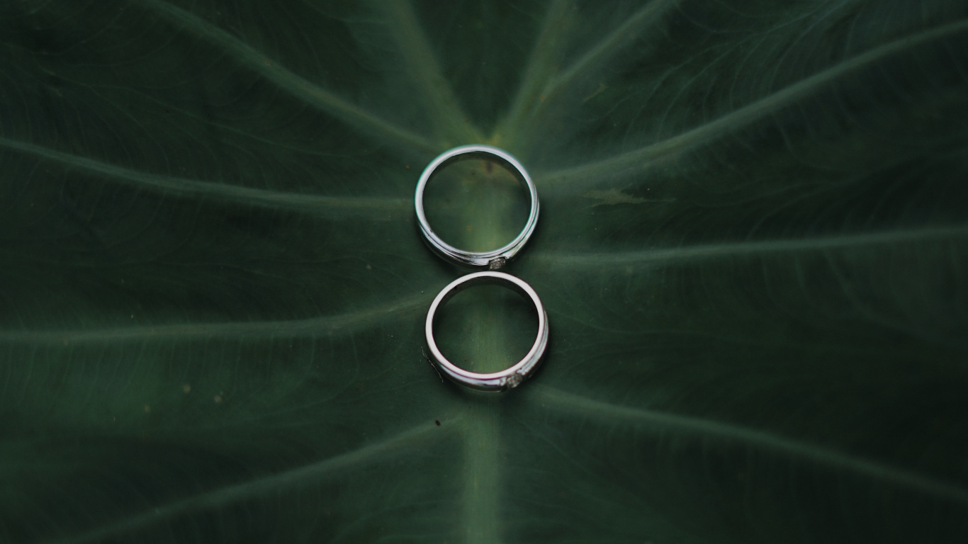 Atmosphere, Green, Water, Circle, Technology. Wallpaper in 1366x768 Resolution