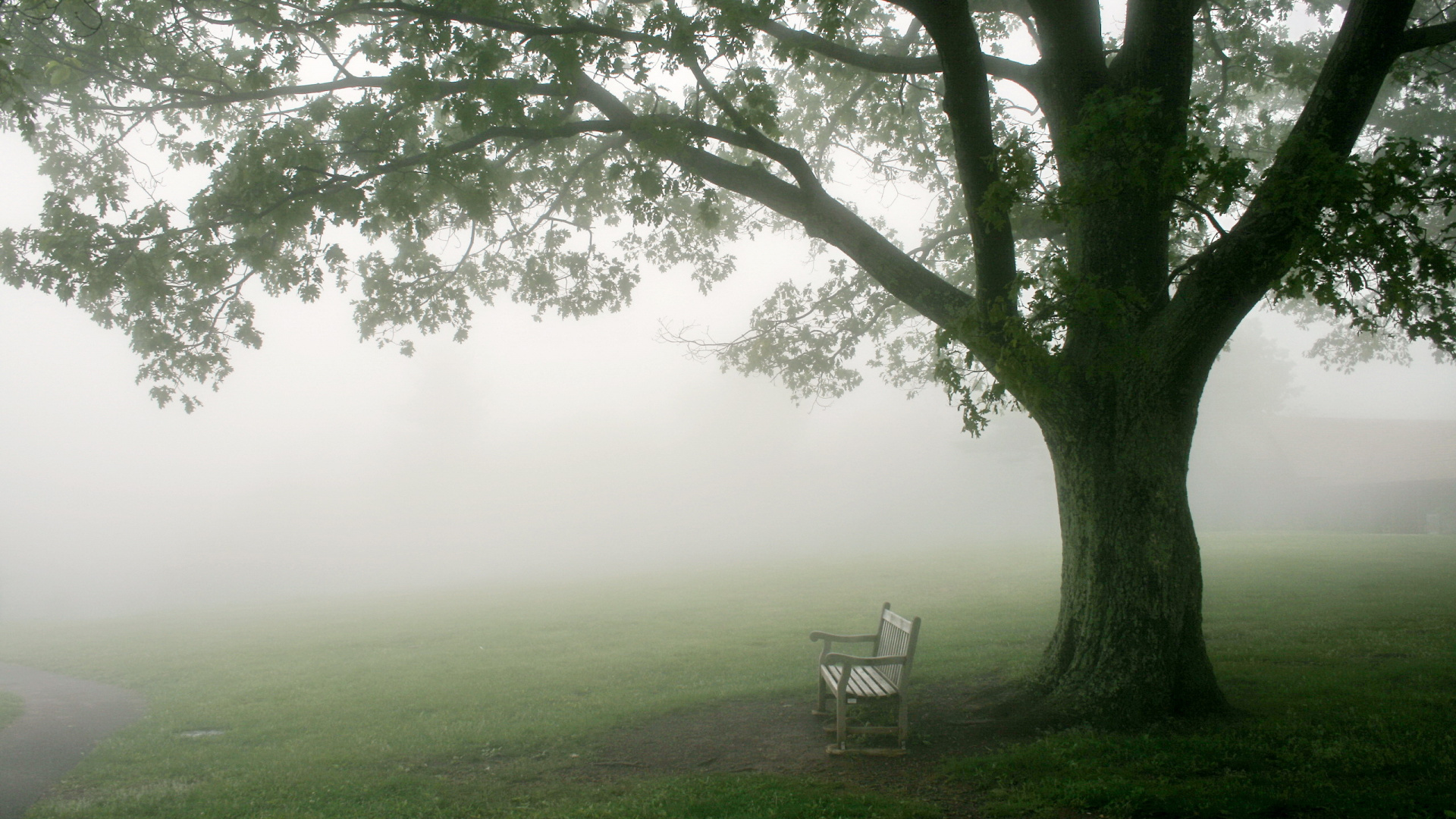 Banc en Bois Blanc Sur Terrain D'herbe Verte. Wallpaper in 1920x1080 Resolution