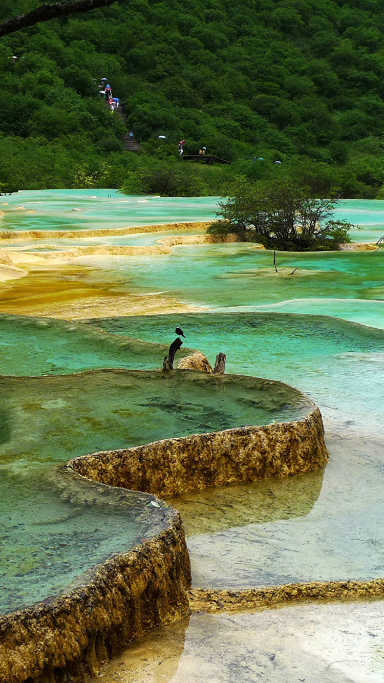 Frau in Schwarzem Tank-Top Und Schwarzen Shorts, Die Auf Einem Felsen in Der Nähe Eines Gewässers Steht. Wallpaper in 750x1334 Resolution