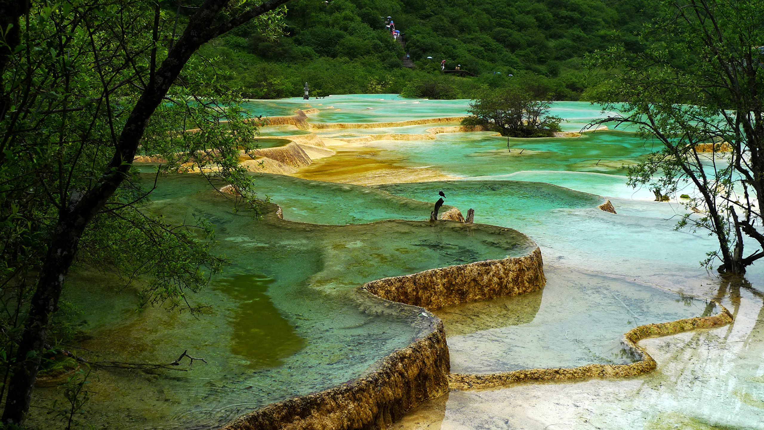 Woman in Black Tank Top and Black Shorts Standing on Rock Near Body of Water During. Wallpaper in 2560x1440 Resolution