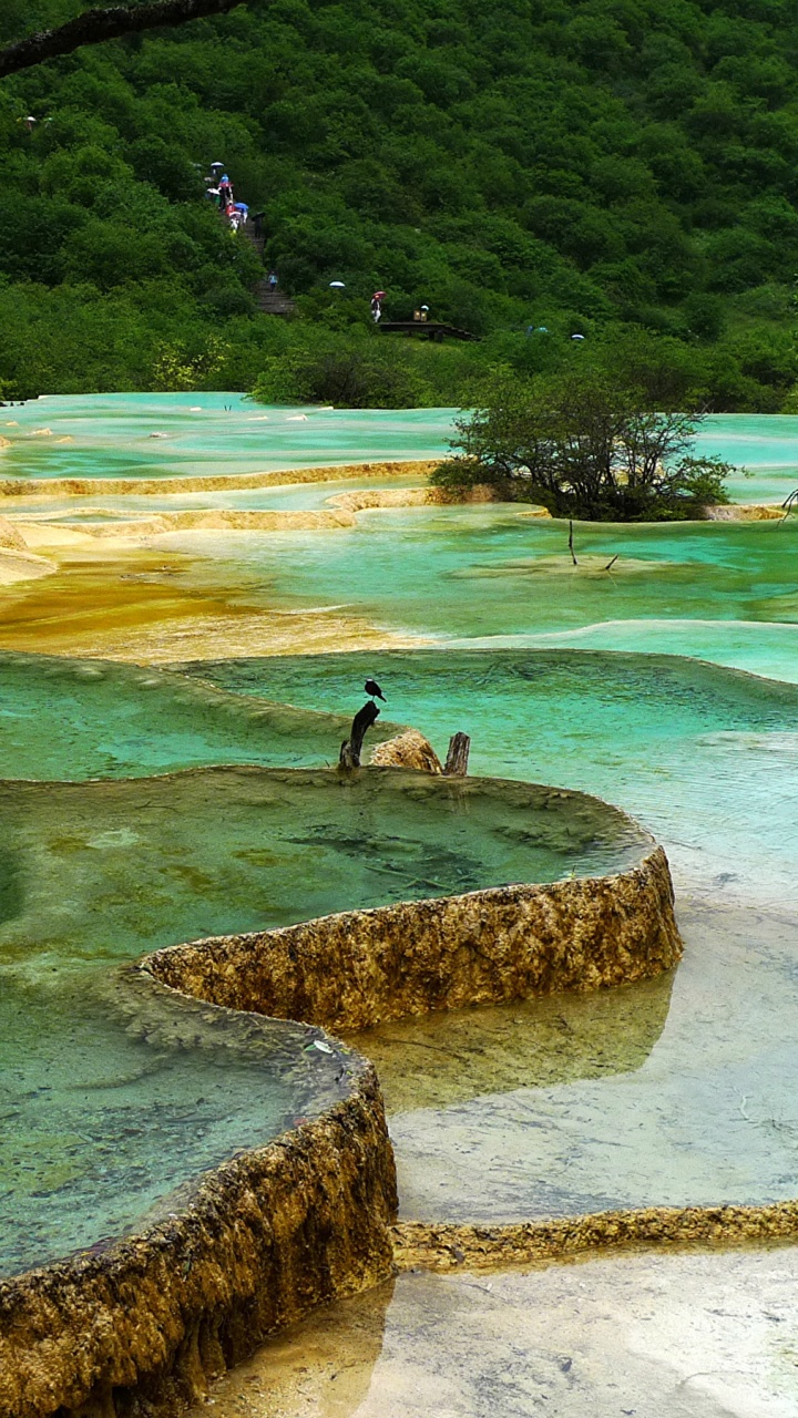 Woman in Black Tank Top and Black Shorts Standing on Rock Near Body of Water During. Wallpaper in 720x1280 Resolution