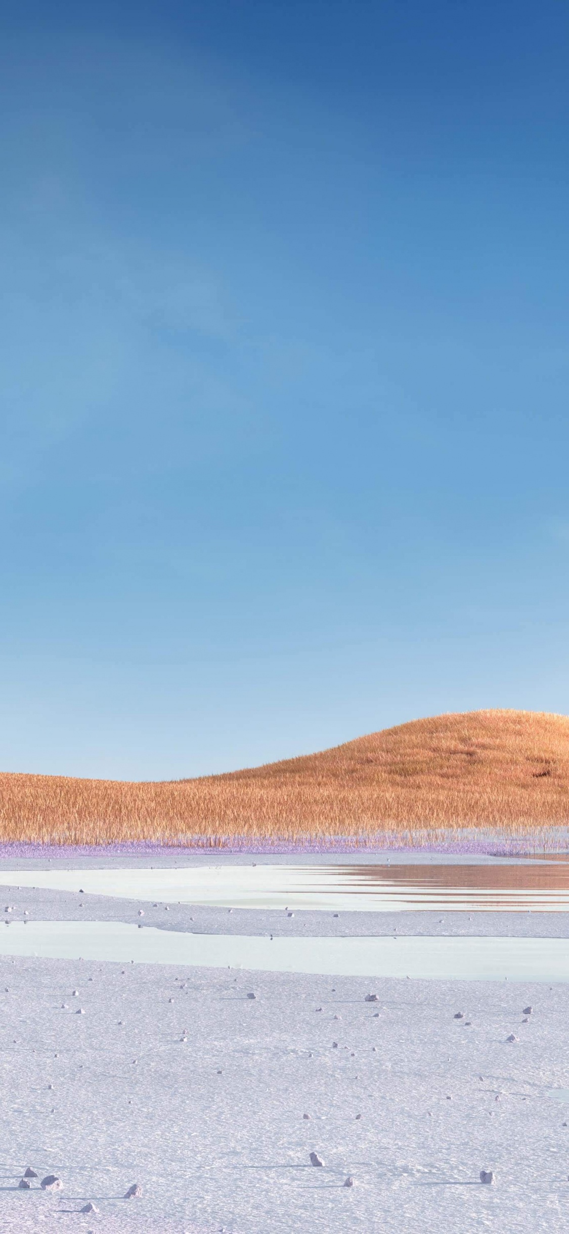 Microsoft Surface, Microsoft Surface Pro, 表面, Surface Pro 7, 表面3 壁纸 1125x2436 允许