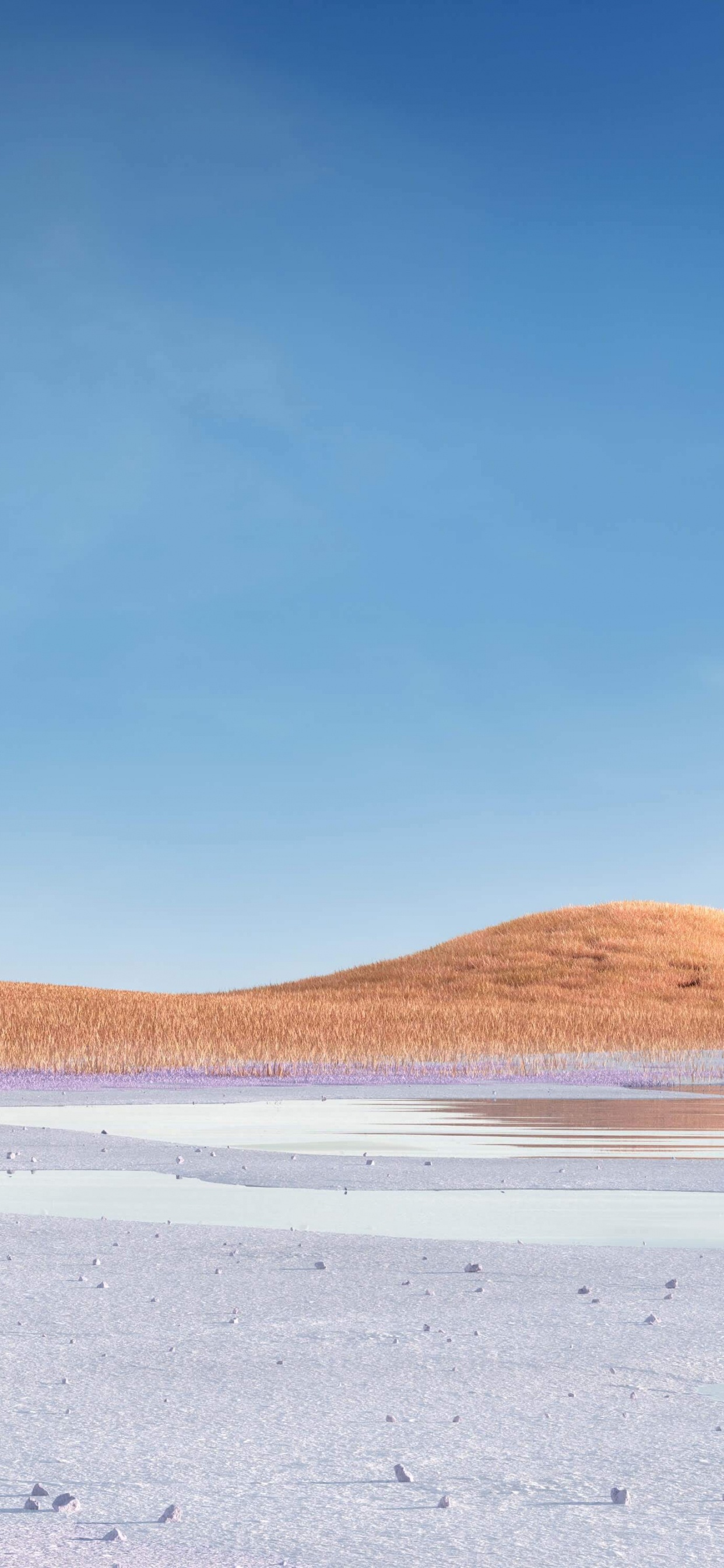 Microsoft Surface, Microsoft Surface Pro, 表面, Surface Pro 7, 表面3 壁纸 1242x2688 允许