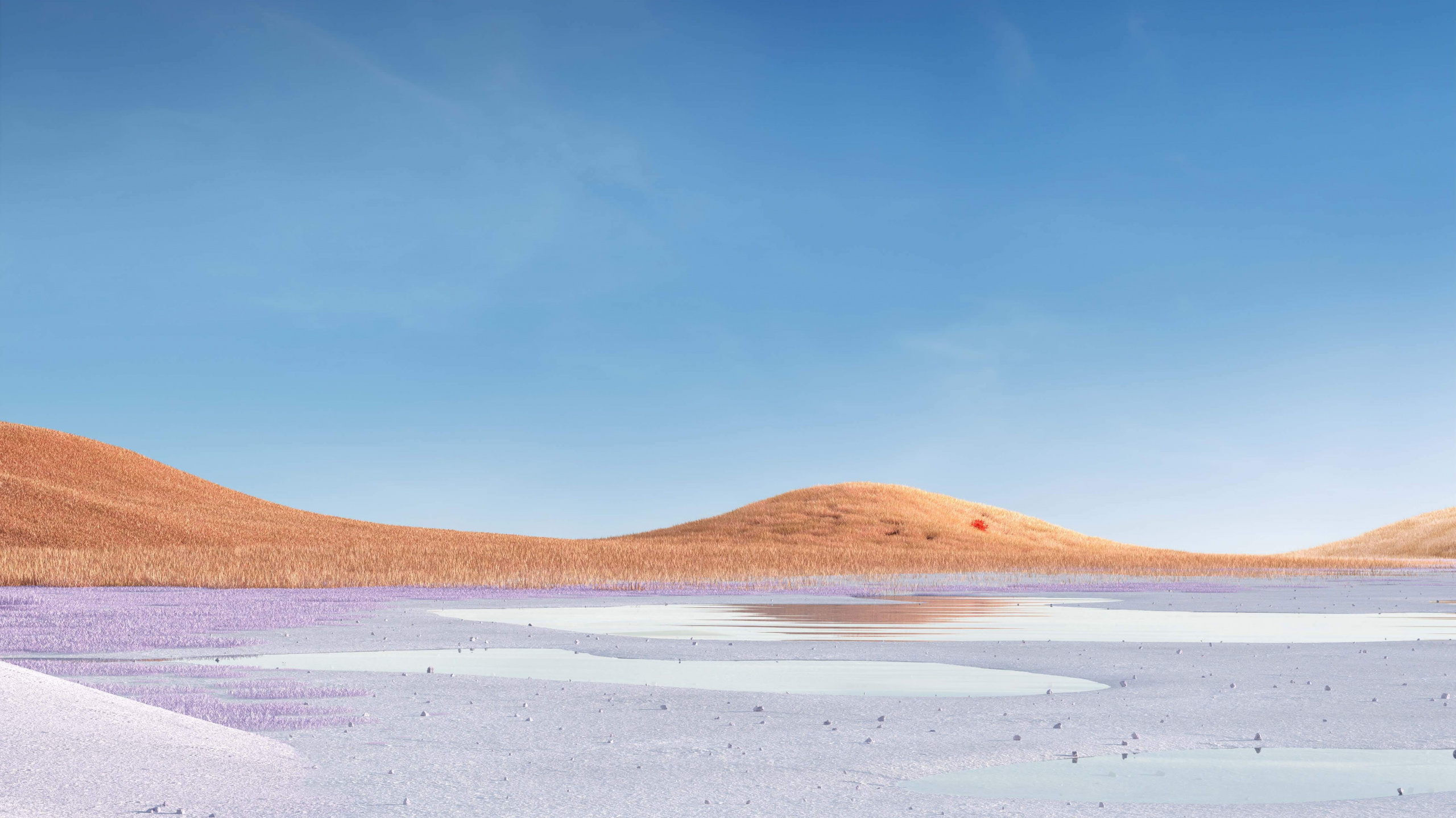 Microsoft Surface, Microsoft Surface Pro, 表面, Surface Pro 7, 表面3 壁纸 2560x1440 允许