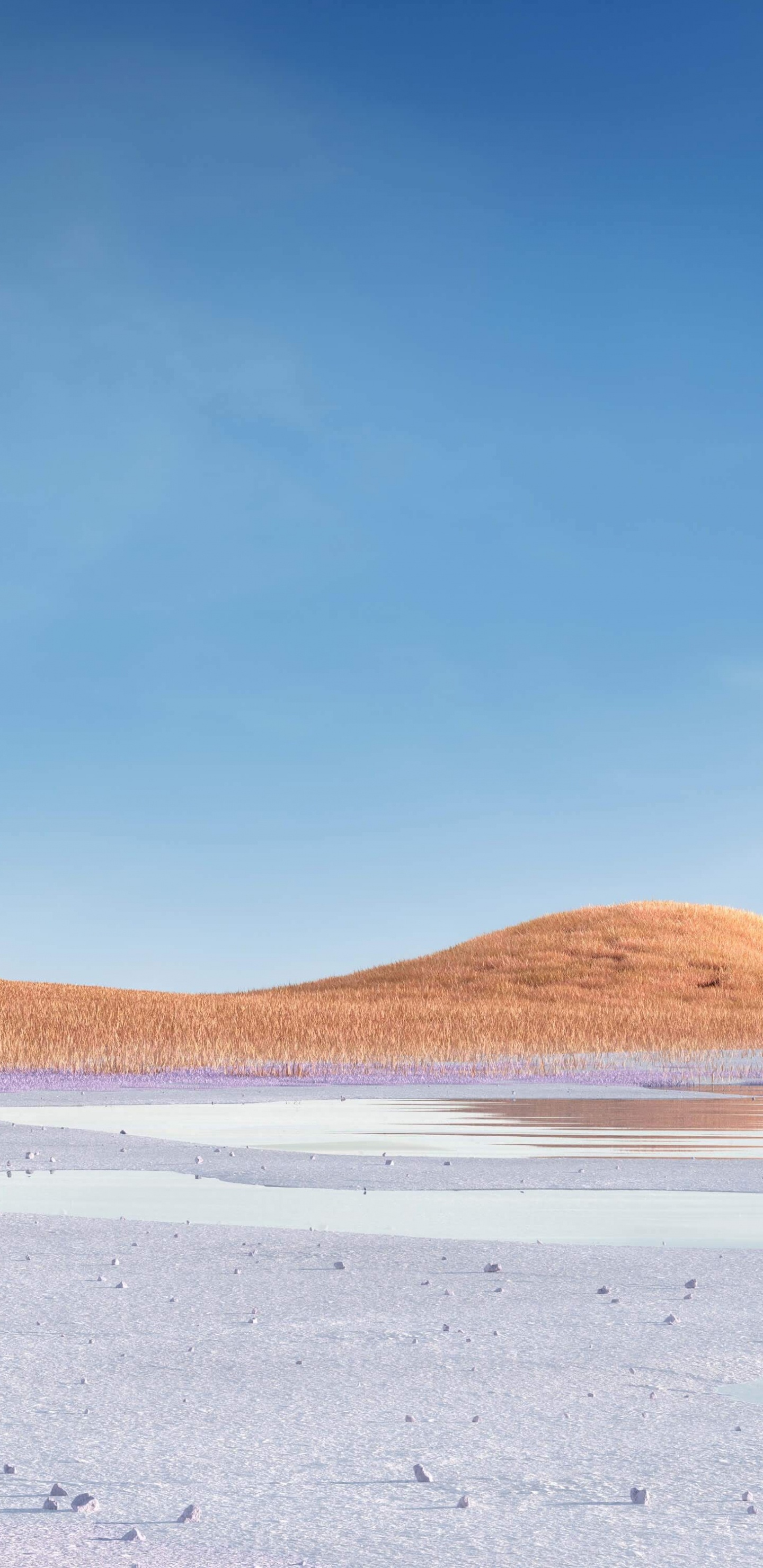 Microsoft Surface, Microsoft Surface Pro, Superficie, Surface Pro 7, Superficie 3. Wallpaper in 1440x2960 Resolution