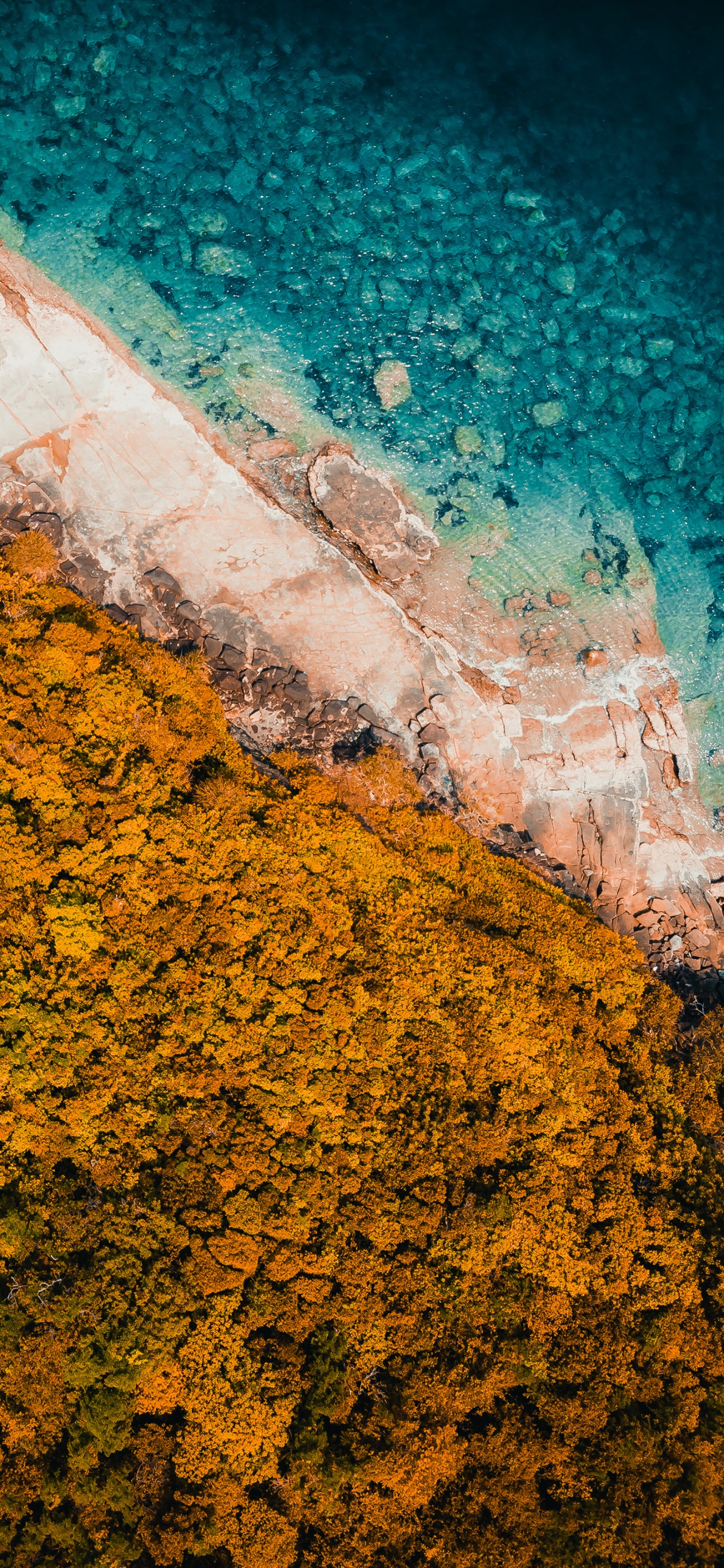 Eau, Transformation, Géométrie, Mathématique, Feuille. Wallpaper in 1242x2688 Resolution