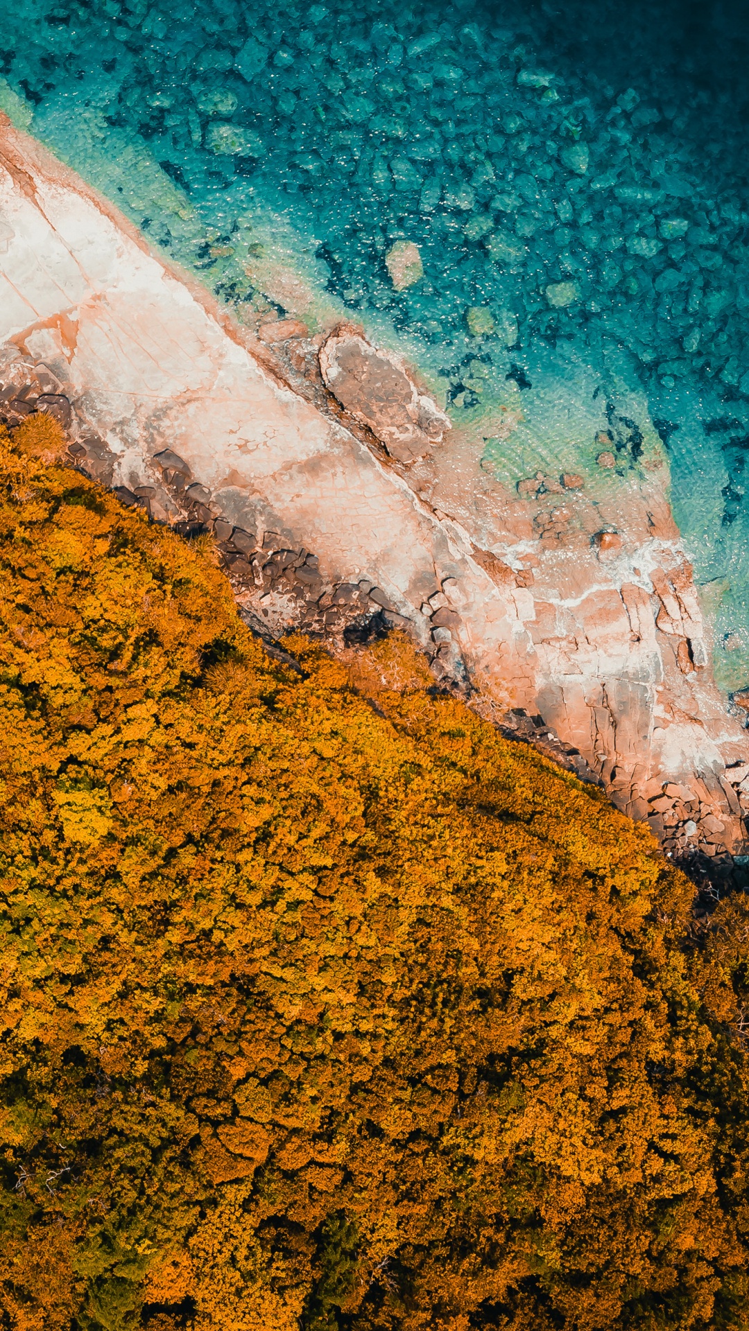 Water, Transformation, Geometry, Mathematics, Leaf. Wallpaper in 1080x1920 Resolution