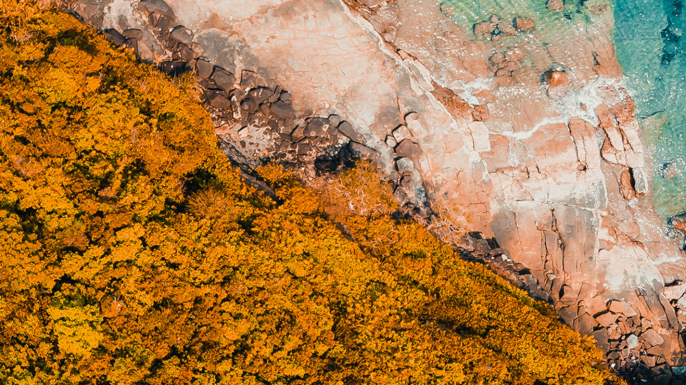 Water, Transformation, Geometry, Mathematics, Leaf. Wallpaper in 1366x768 Resolution