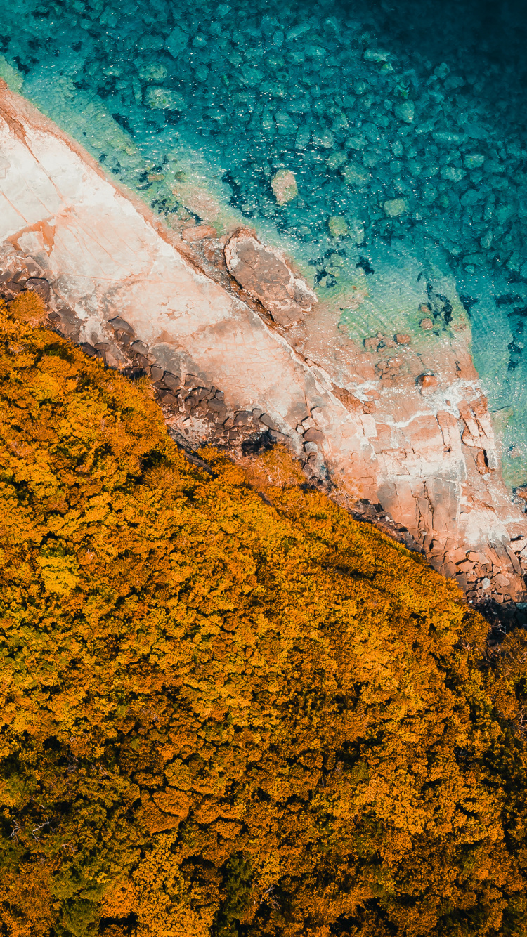 Water, Transformation, Geometry, Mathematics, Leaf. Wallpaper in 750x1334 Resolution