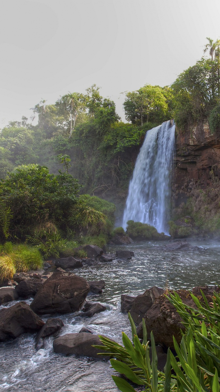 Waterfalls in The Middle of Green Trees. Wallpaper in 750x1334 Resolution