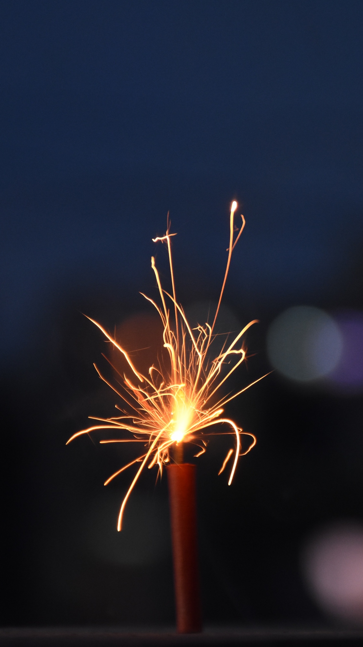 Weißer Löwenzahn in Nahaufnahme. Wallpaper in 1440x2560 Resolution