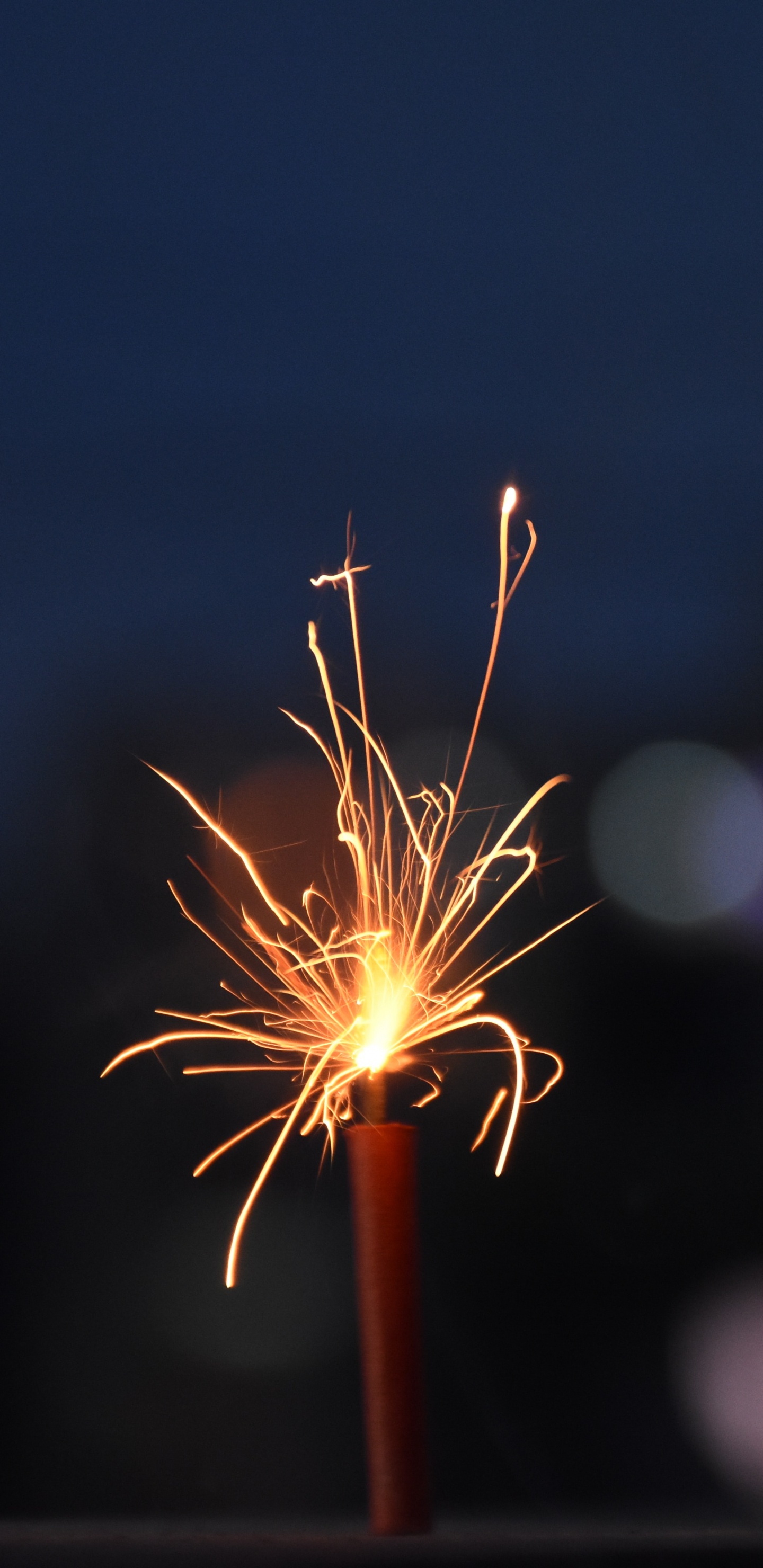 Weißer Löwenzahn in Nahaufnahme. Wallpaper in 1440x2960 Resolution