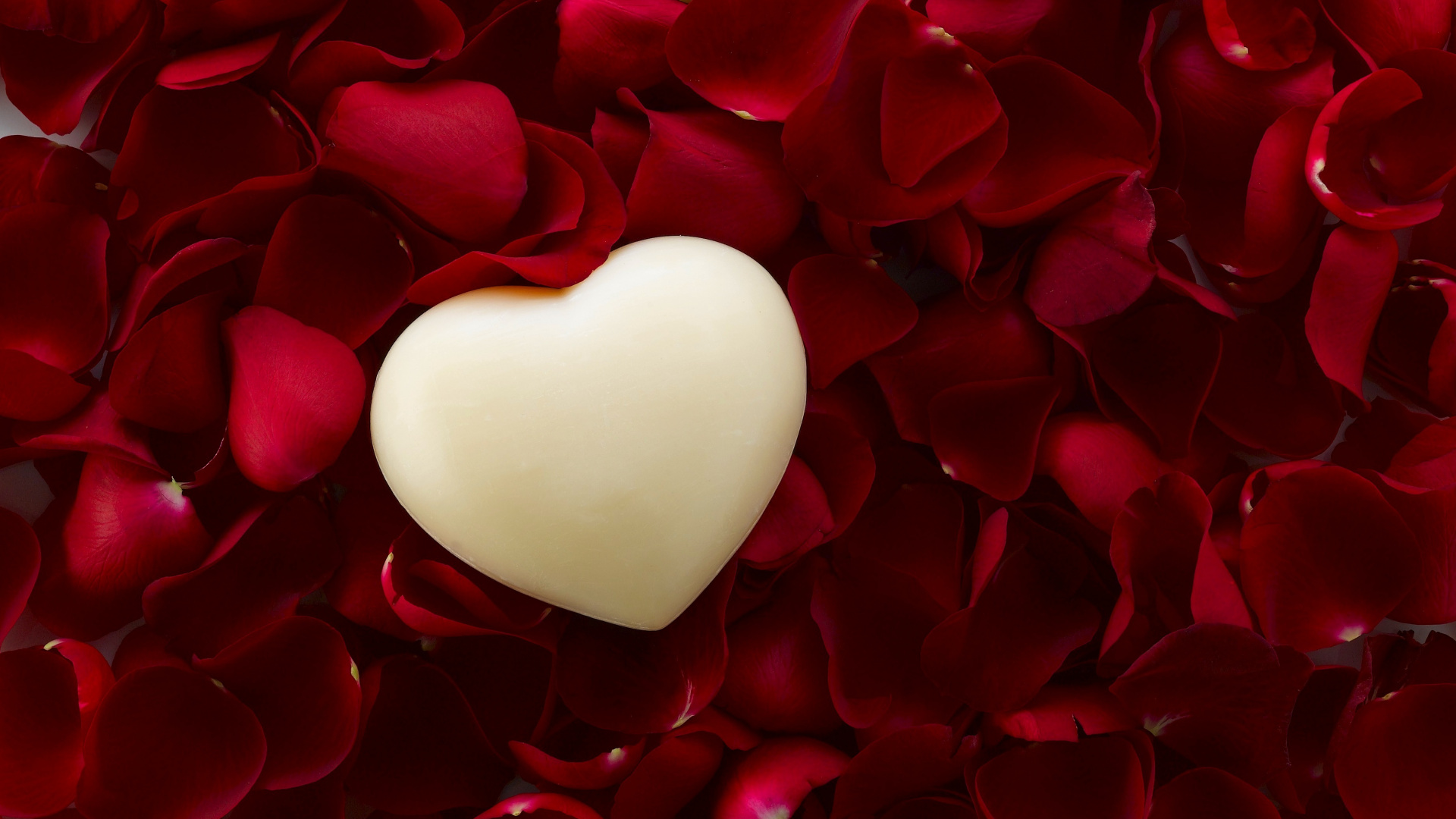 Heart, Red, Petal, Valentines Day, Love. Wallpaper in 1920x1080 Resolution