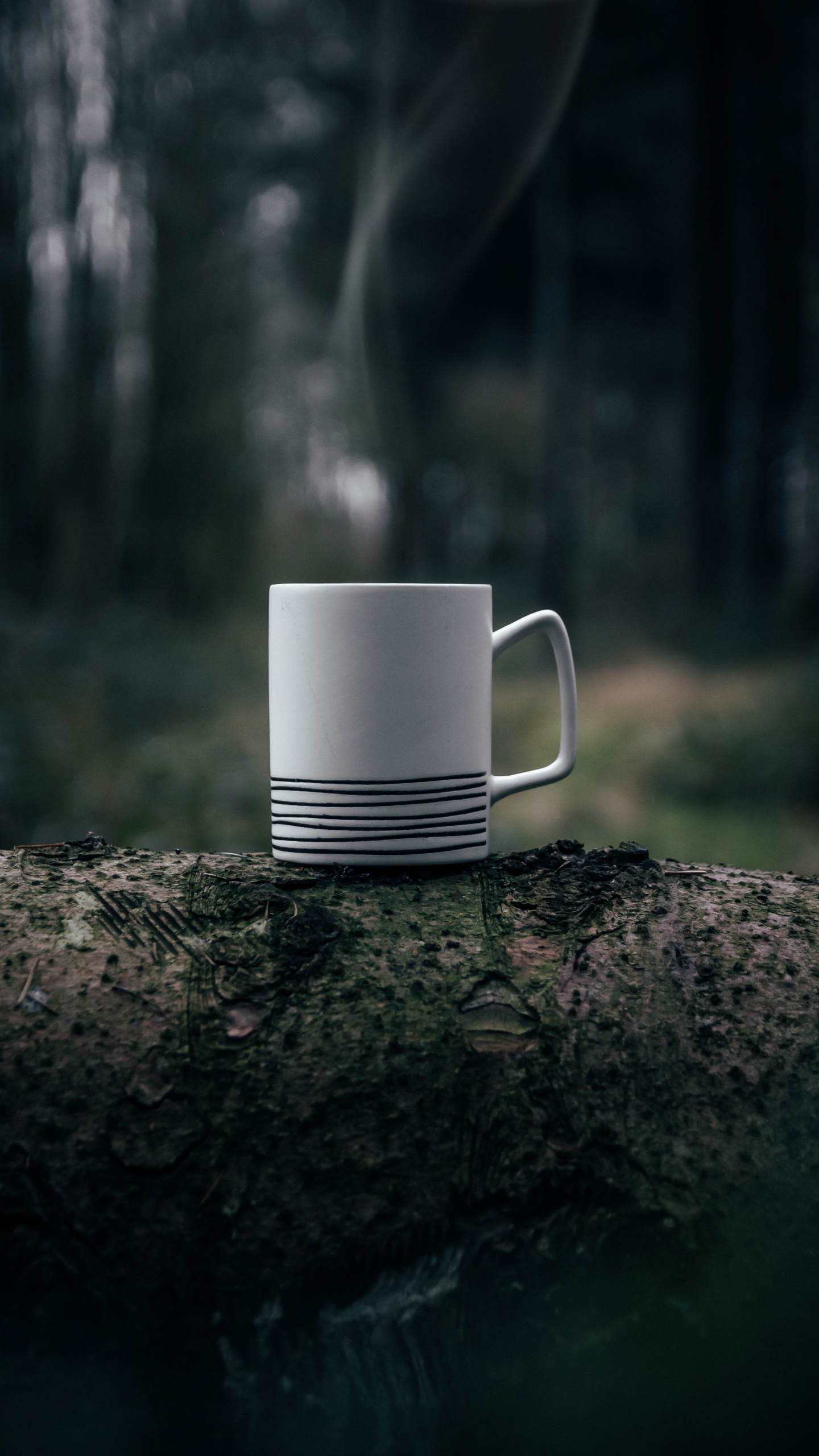 Taza de Cerámica Blanca Sobre Roca Marrón. Wallpaper in 1440x2560 Resolution