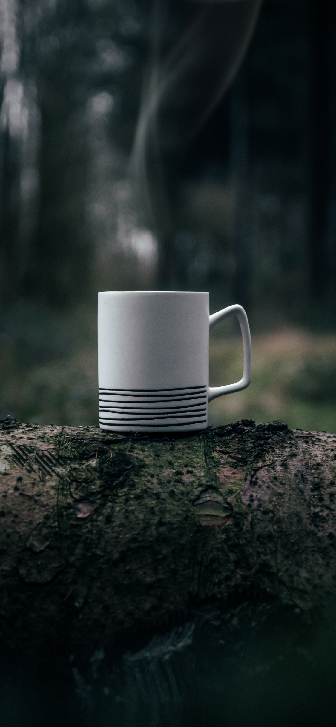 White Ceramic Mug on Brown Rock. Wallpaper in 1125x2436 Resolution