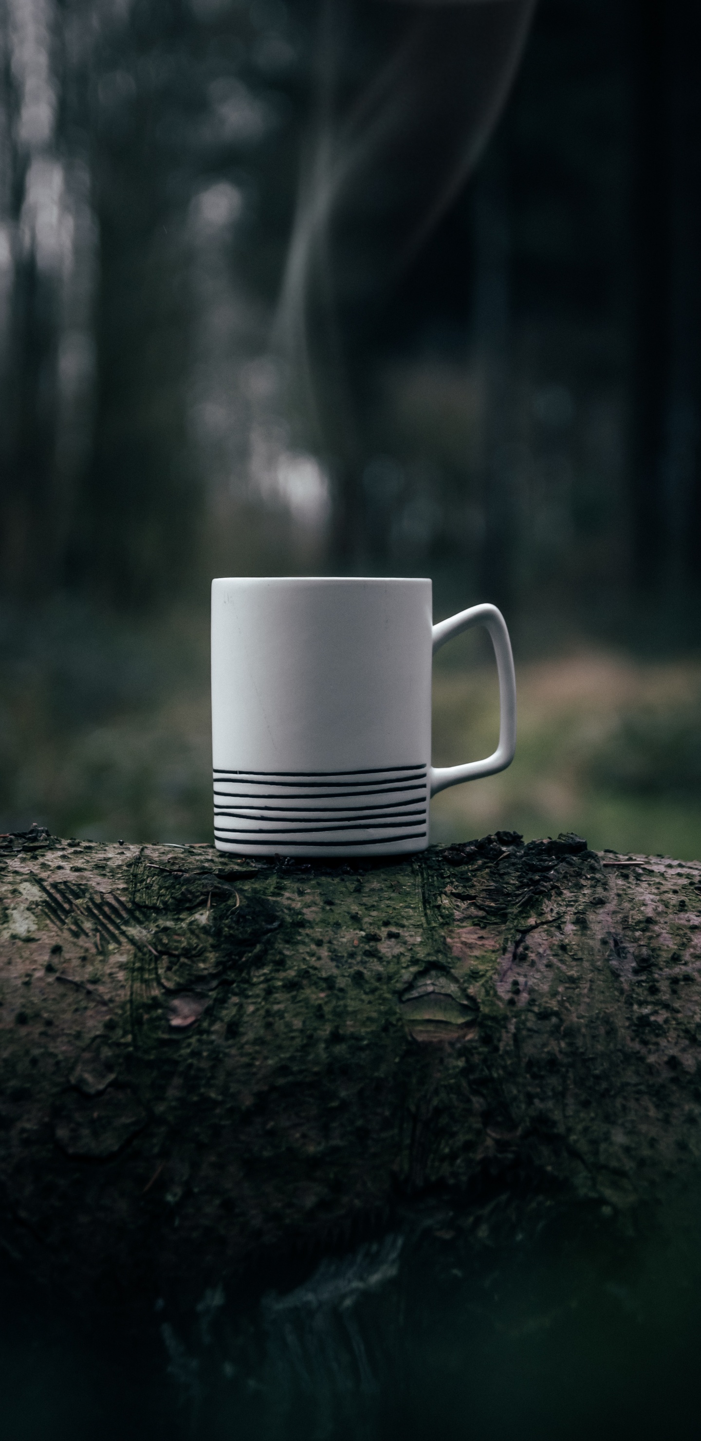 Mug en Céramique Blanche Sur Roche Brune. Wallpaper in 1440x2960 Resolution