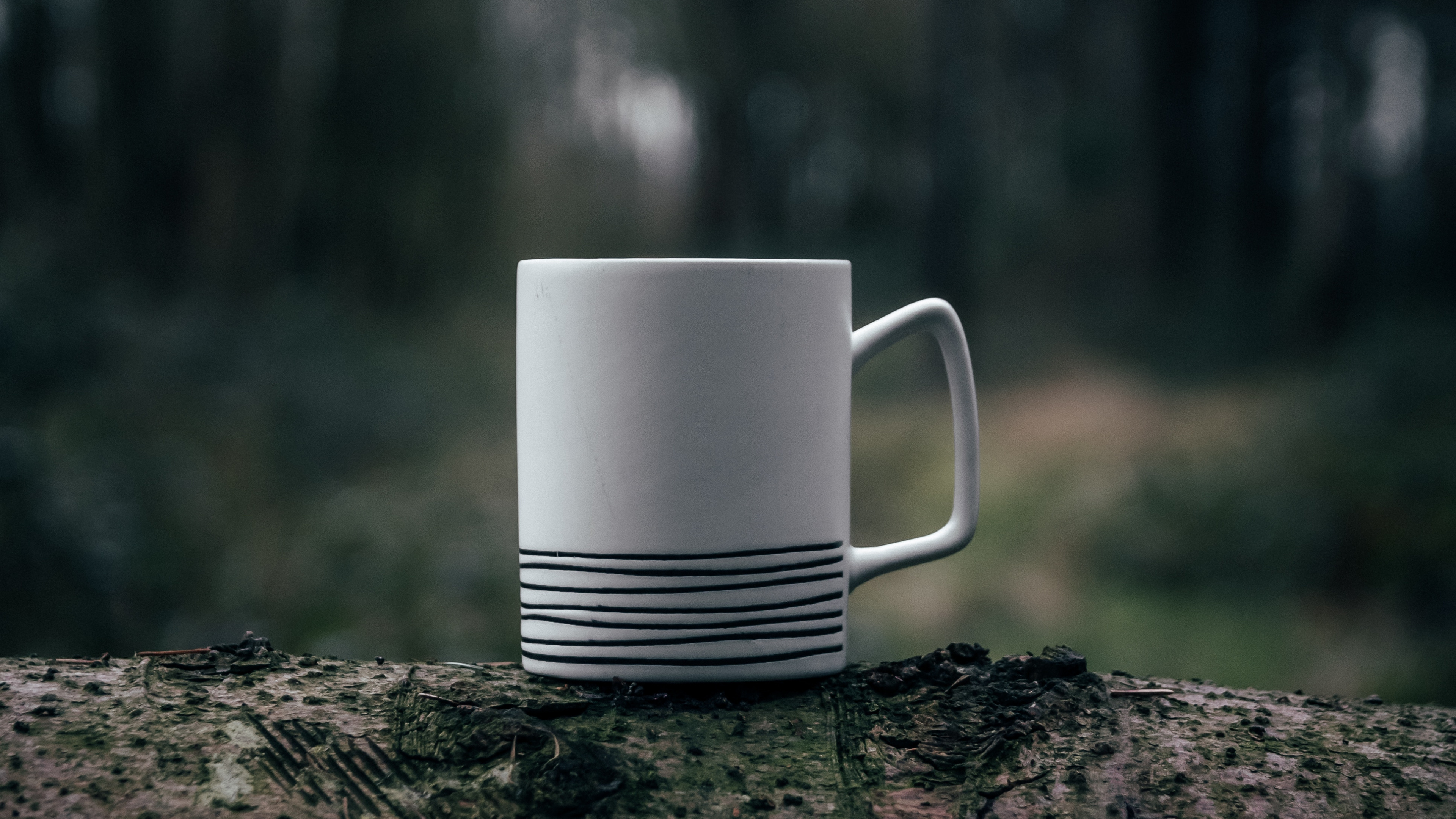Mug en Céramique Blanche Sur Roche Brune. Wallpaper in 3840x2160 Resolution