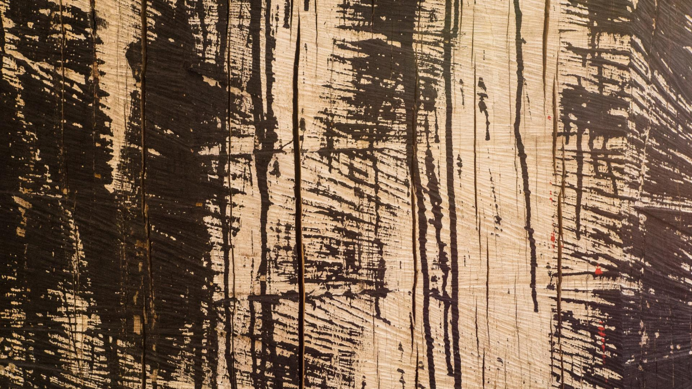 Holz, Holzmaserung, Planke, Stamm, Wasser. Wallpaper in 1366x768 Resolution