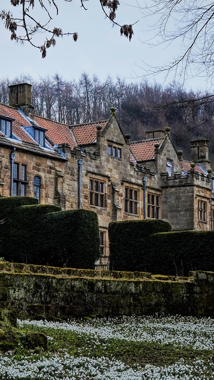 Bâtiment en Béton Brun Près du Champ D'herbe Verte Pendant la Journée. Wallpaper in 720x1280 Resolution