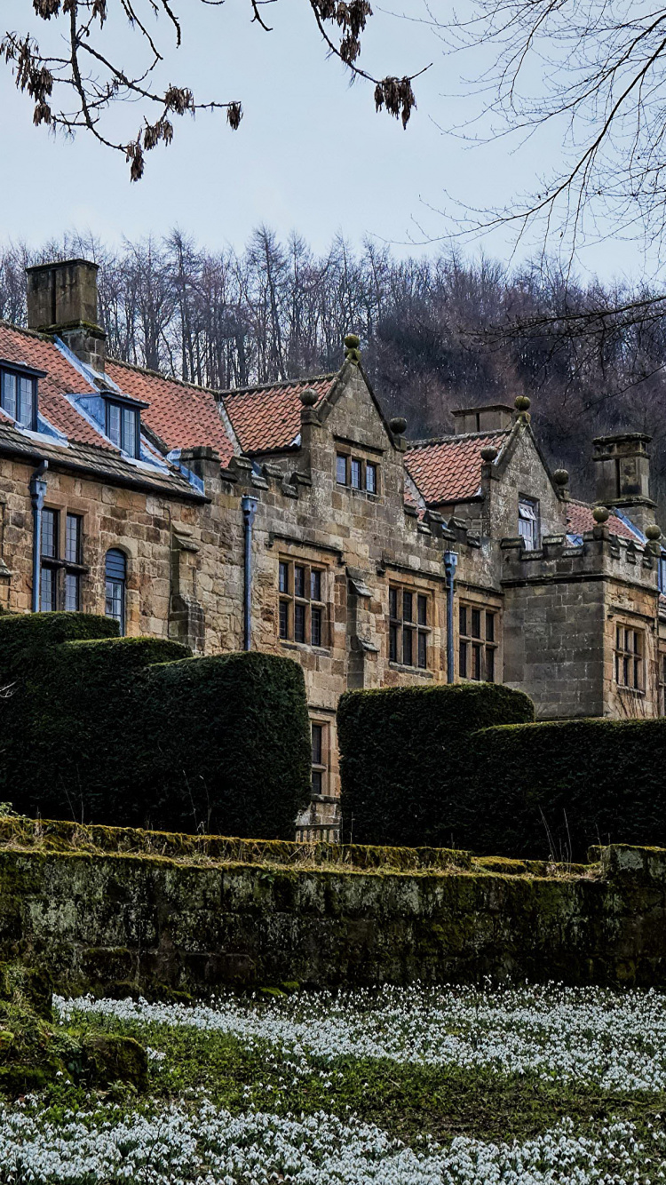 Bâtiment en Béton Brun Près du Champ D'herbe Verte Pendant la Journée. Wallpaper in 750x1334 Resolution