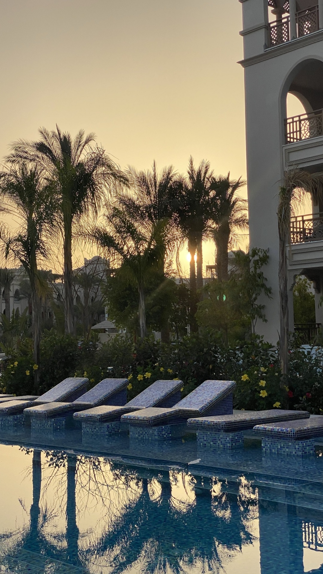 Reflection, Palm Trees, Real Estate, Water, Plant. Wallpaper in 1080x1920 Resolution