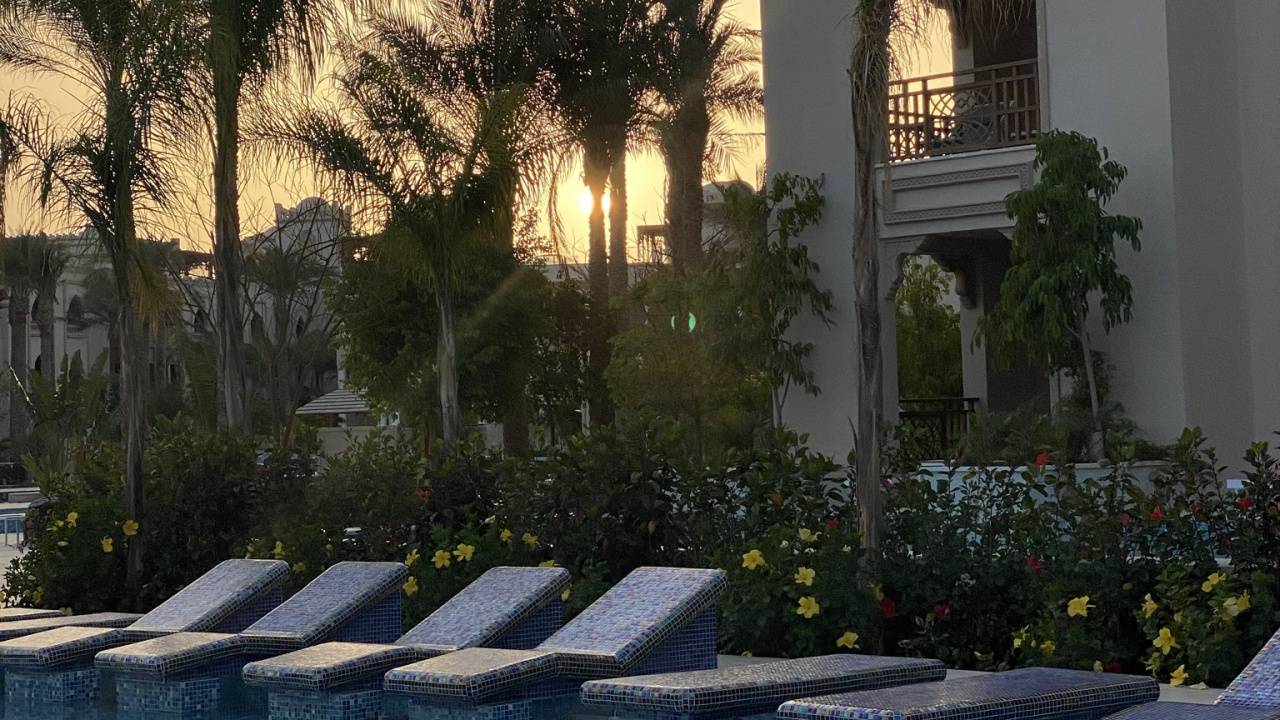 Reflection, Palm Trees, Real Estate, Water, Plant. Wallpaper in 1280x720 Resolution