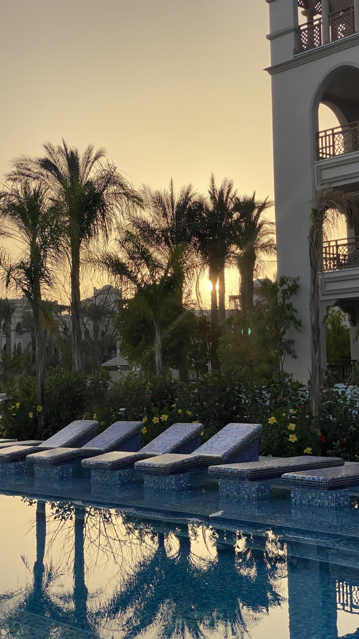 Reflection, Palm Trees, Real Estate, Water, Plant. Wallpaper in 720x1280 Resolution