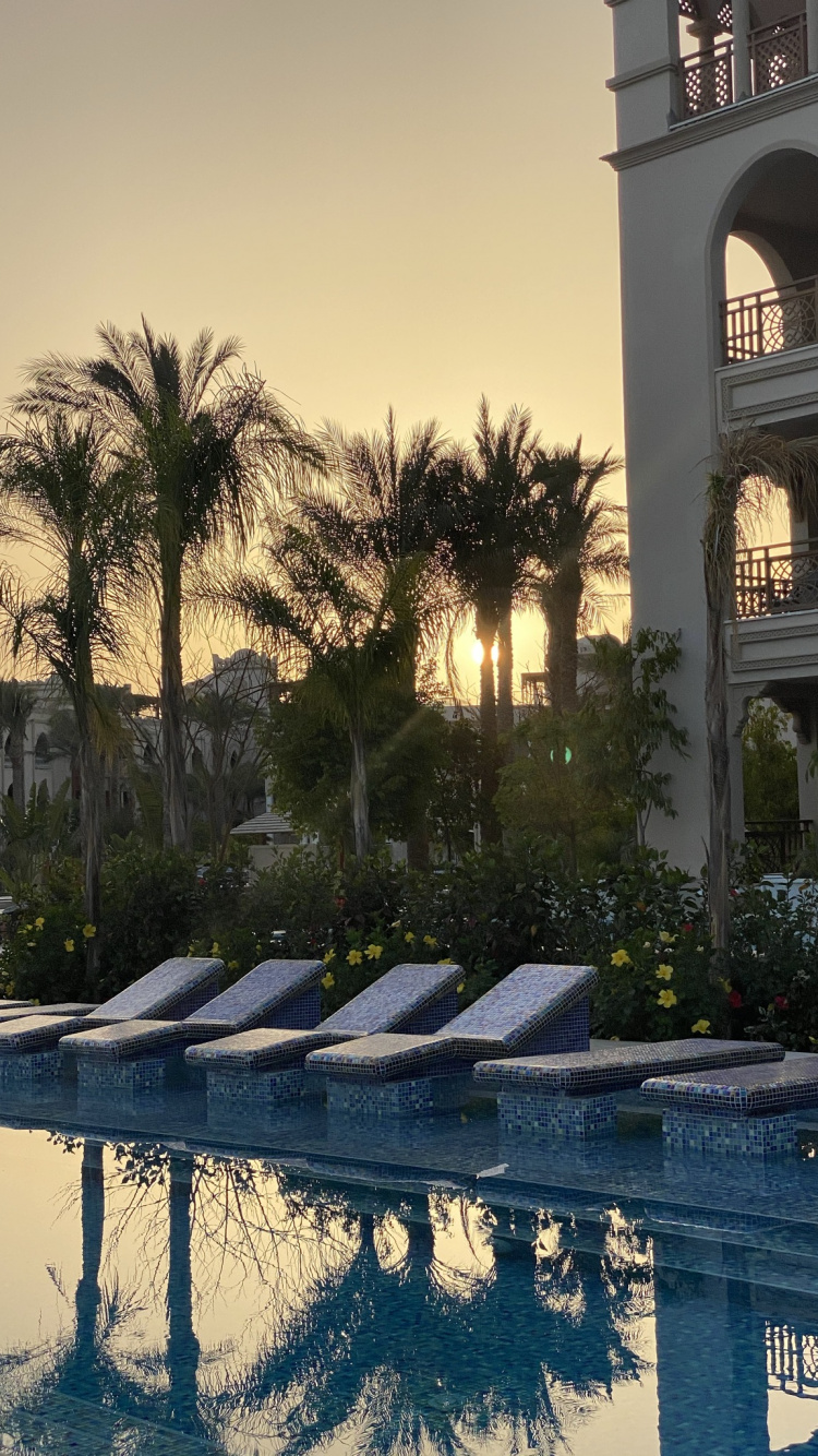 Reflection, Palm Trees, Real Estate, Water, Plant. Wallpaper in 750x1334 Resolution