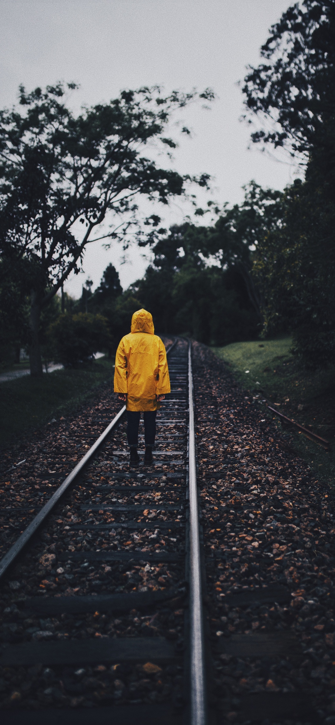 Transport, Piste, Jaune, Ligne, la Piste. Wallpaper in 1125x2436 Resolution