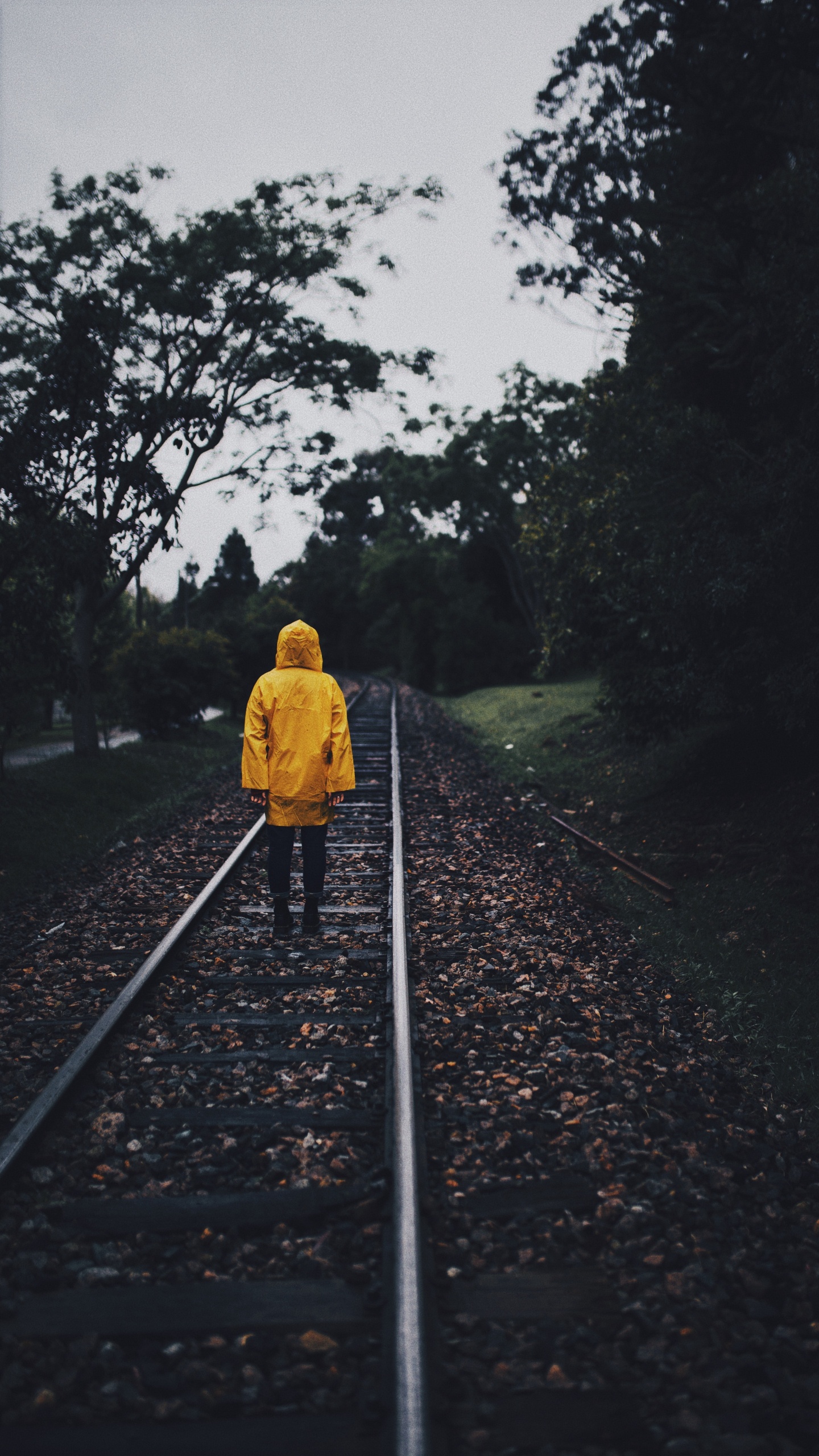 Transport, Piste, Jaune, Ligne, la Piste. Wallpaper in 1440x2560 Resolution